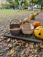 Rectangular Wicker Basket with Braided Handle