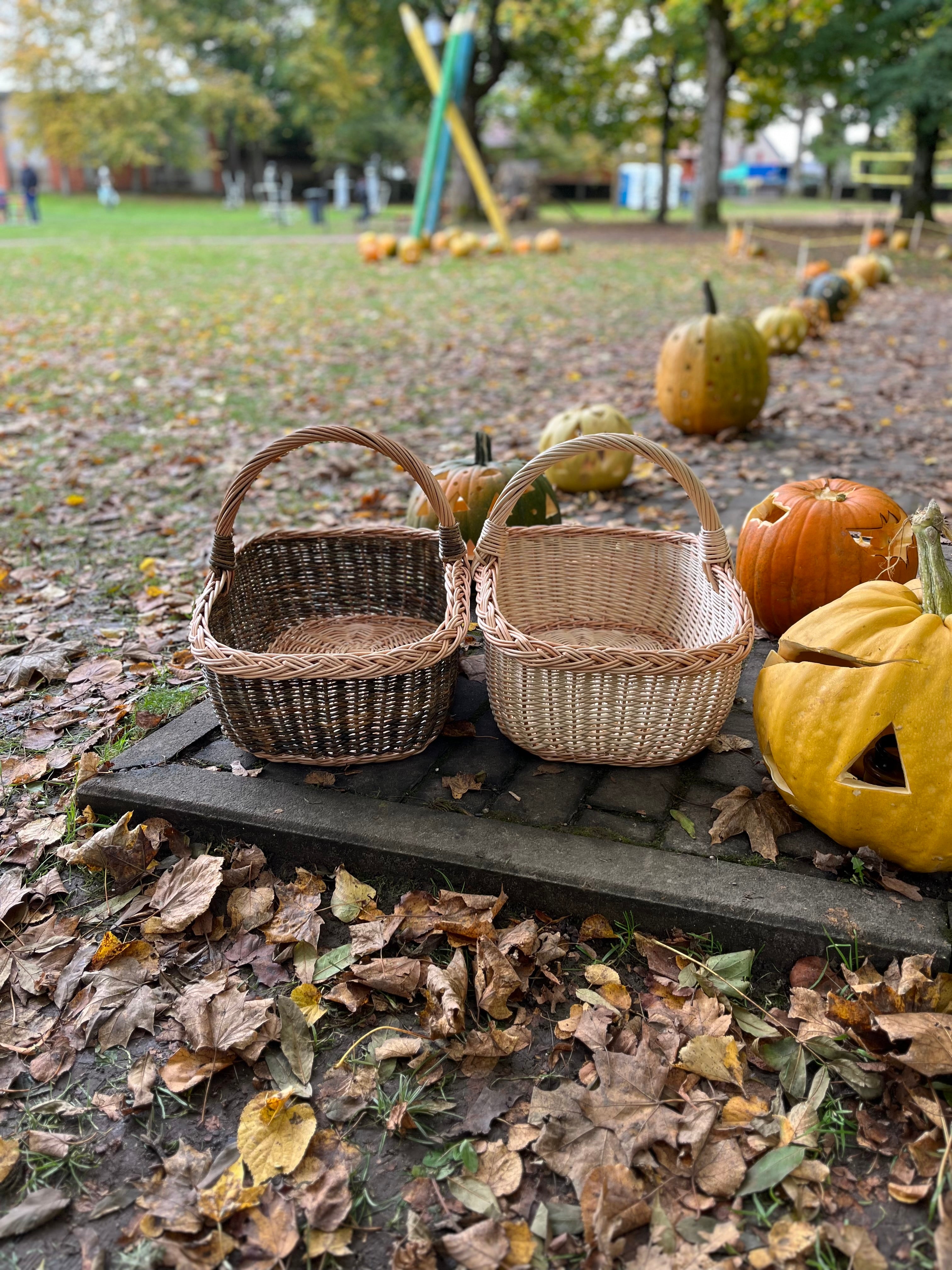 Rectangular Wicker Basket with Braided Handle