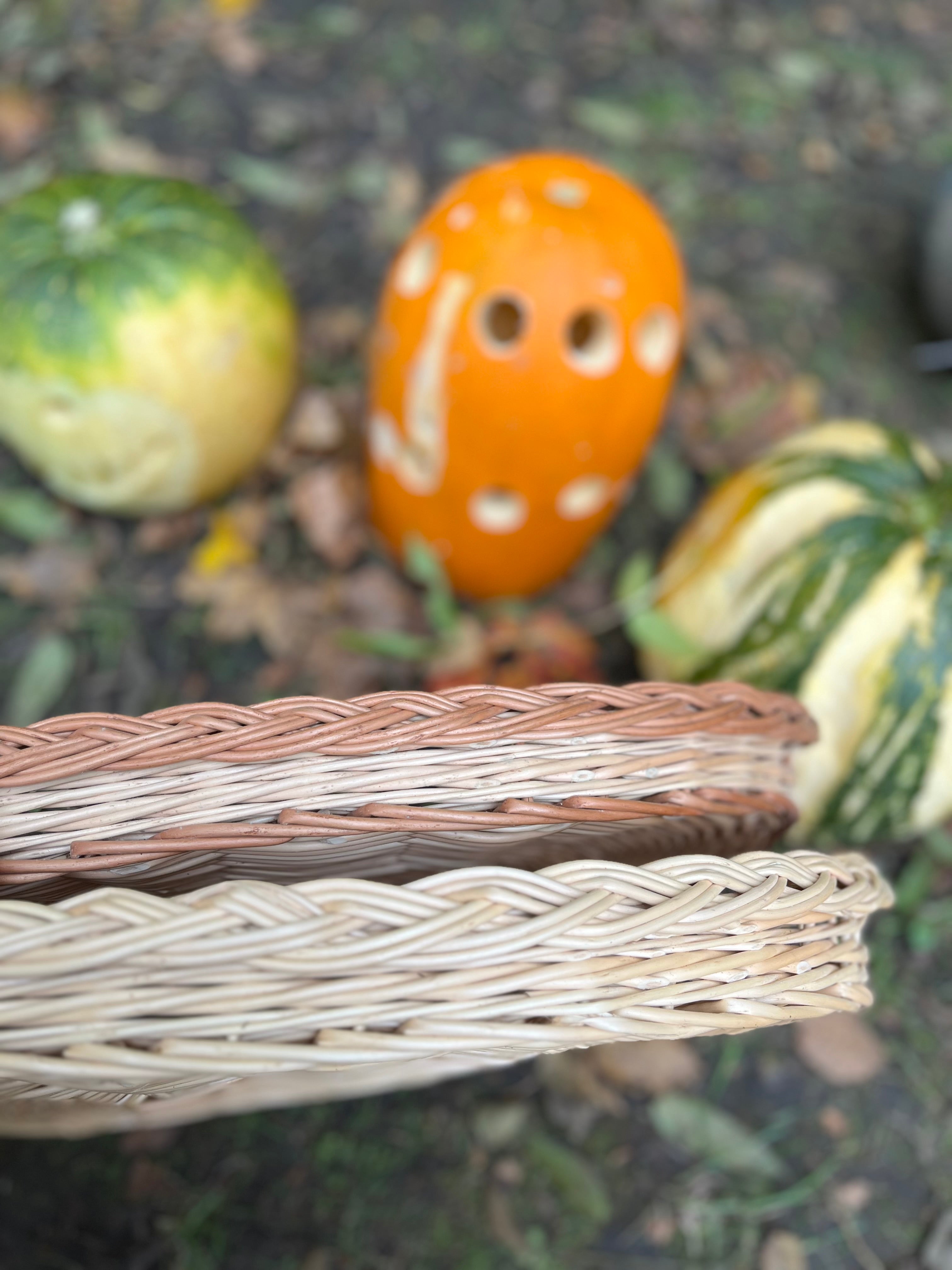 Rustic Bread & Fruit Tray
