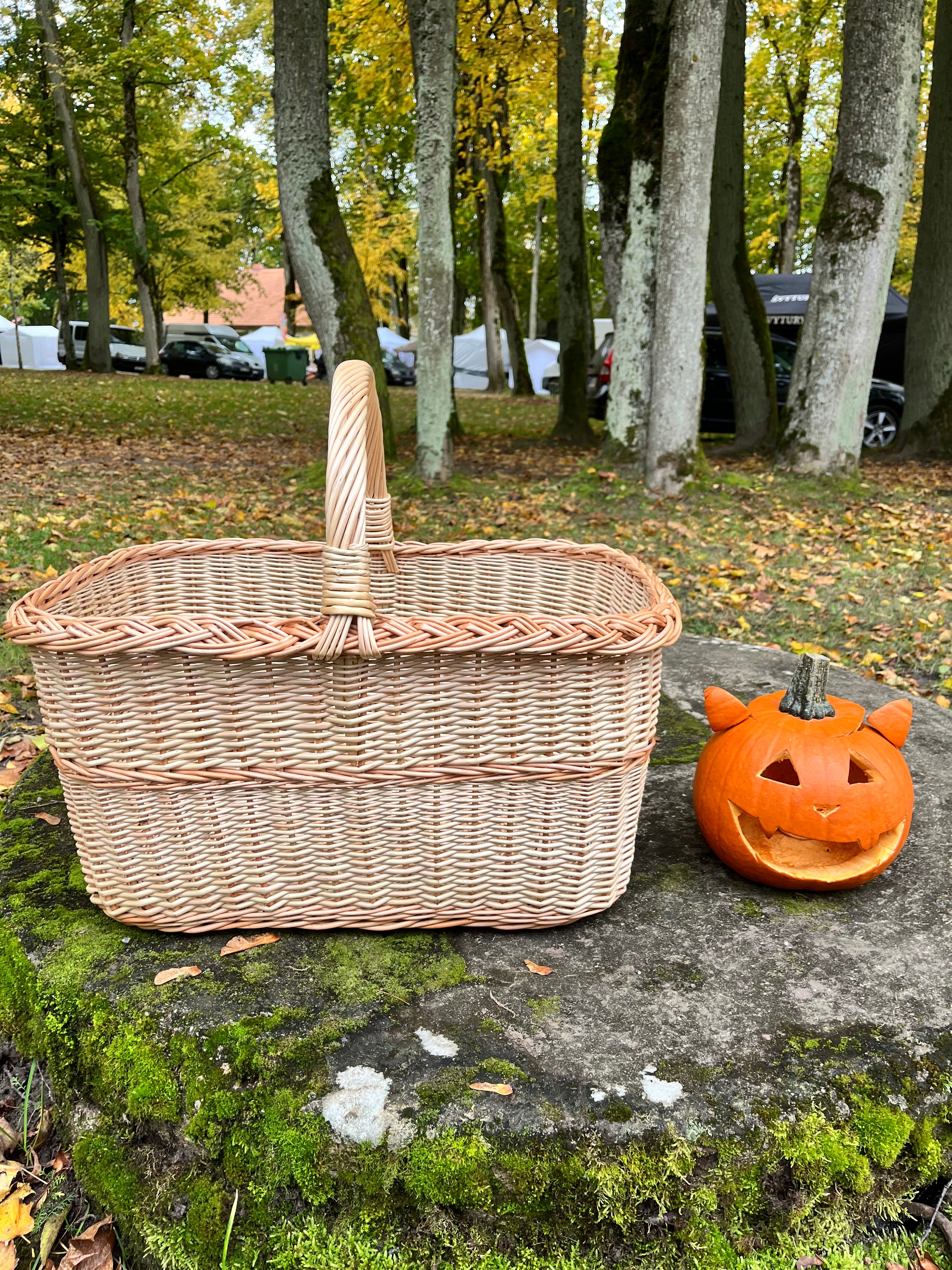 Rectangular Large Wicker Basket