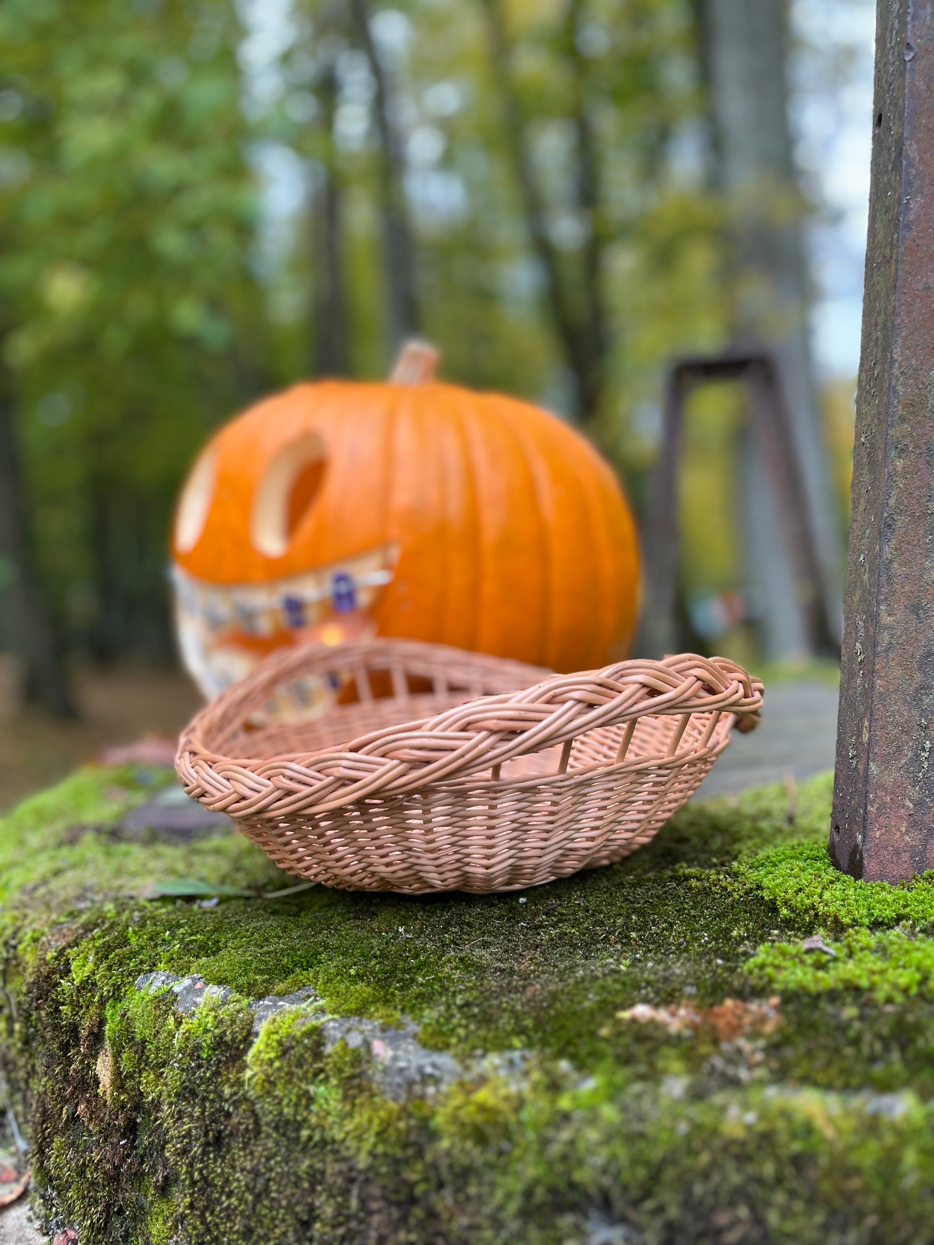 Wicker Round Tray Basket with Open Weave Rim