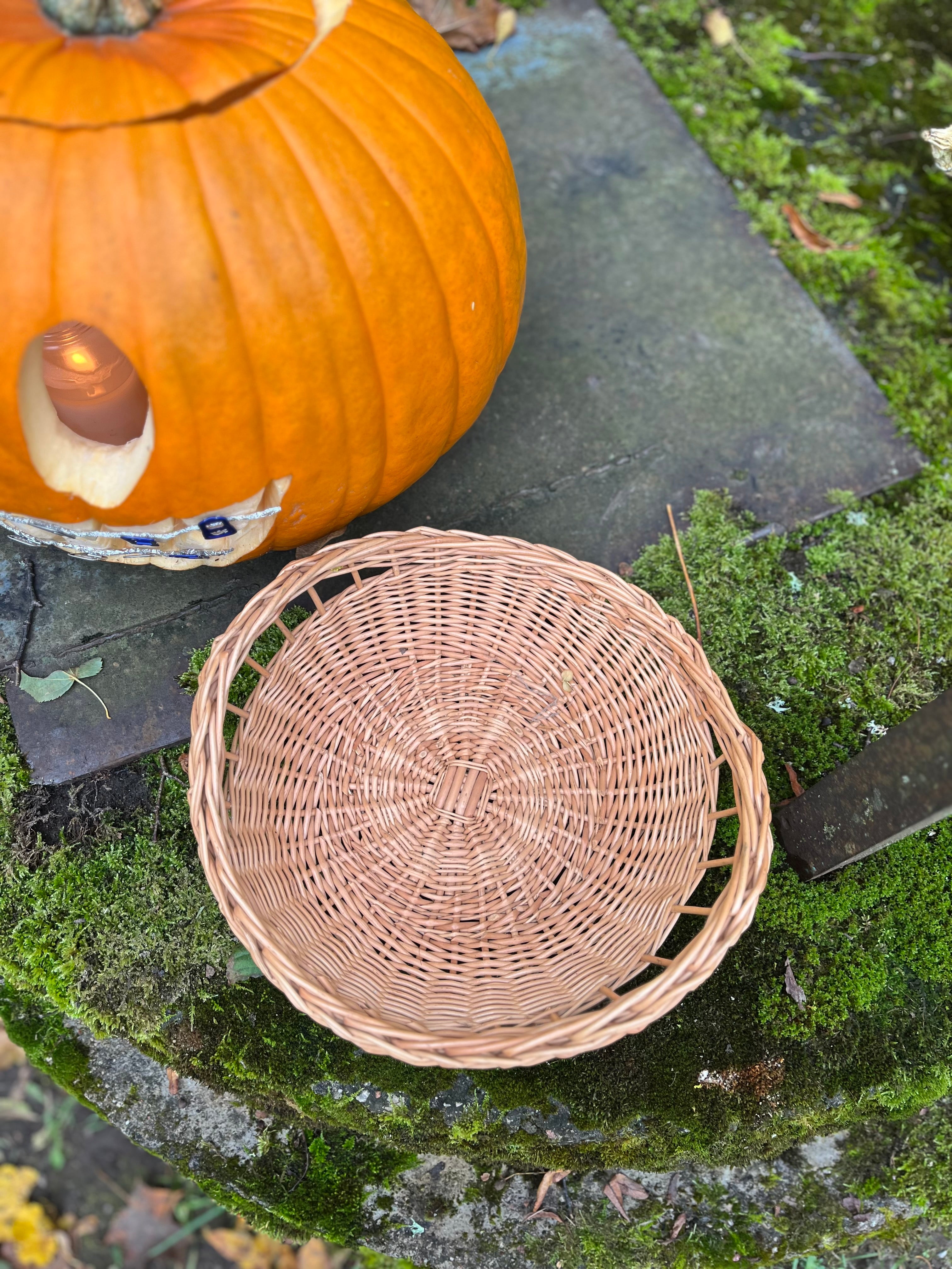 Wicker Round Tray Basket with Open Weave Rim