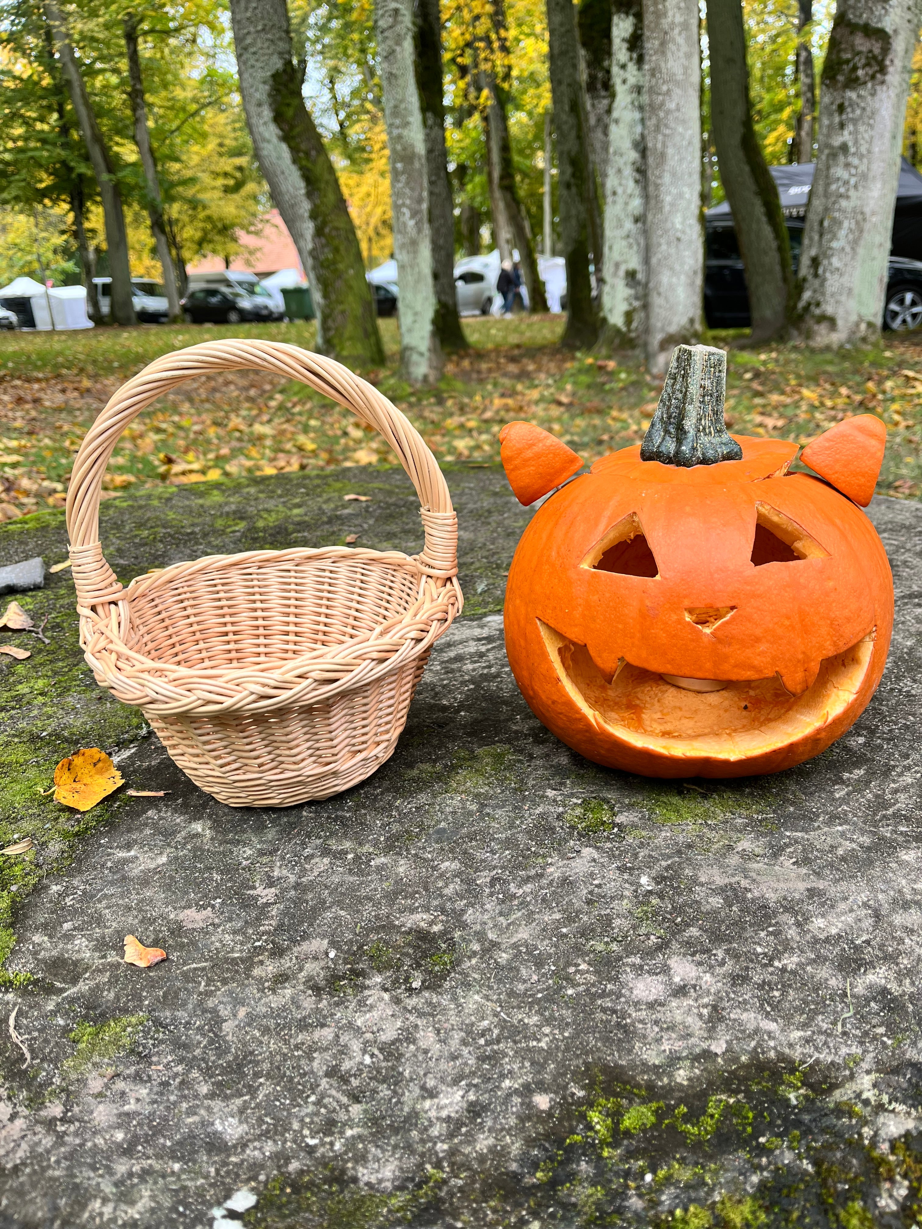Small Rustic Decorative Wicker Basket
