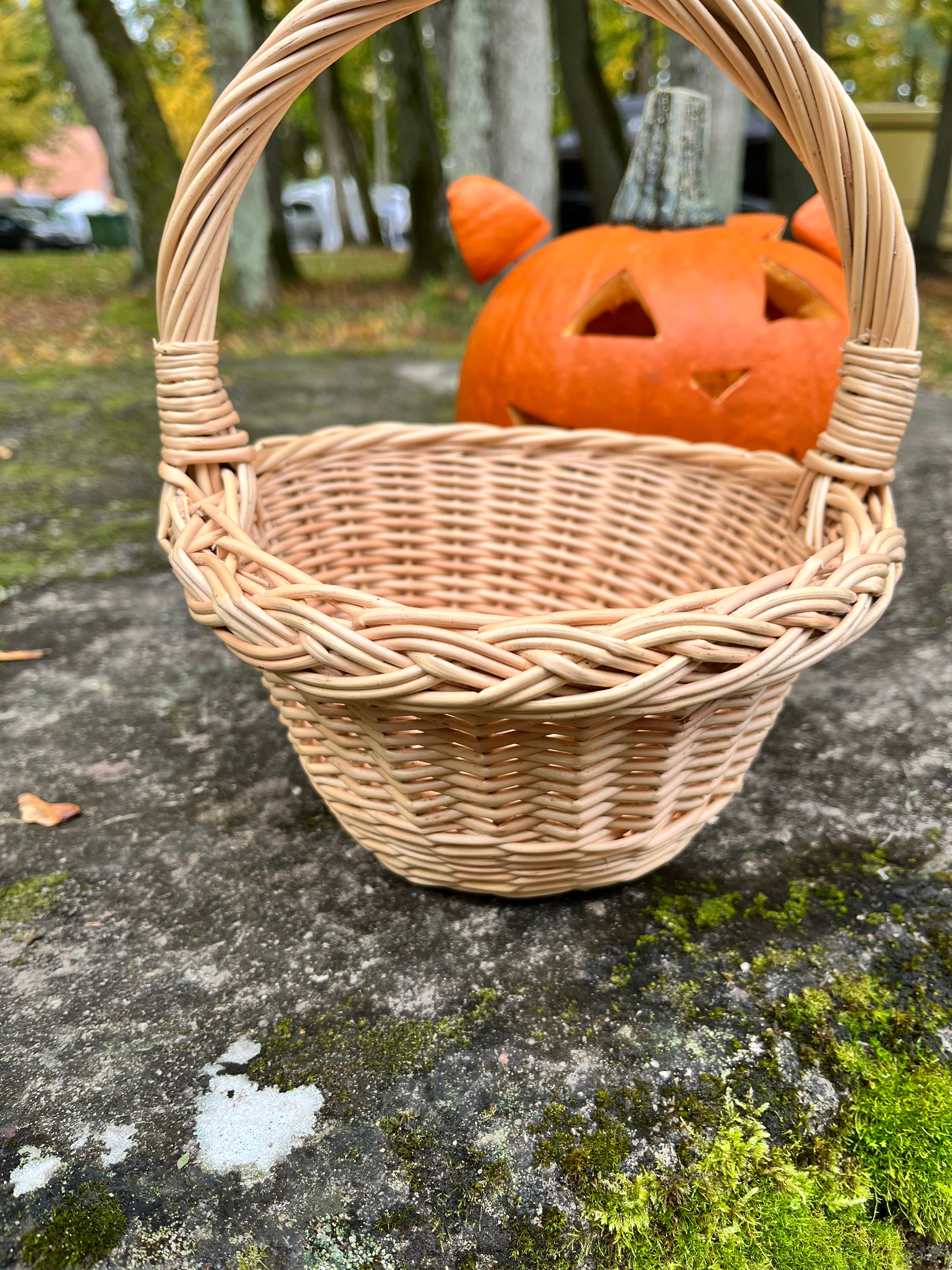 Small Rustic Decorative Wicker Basket