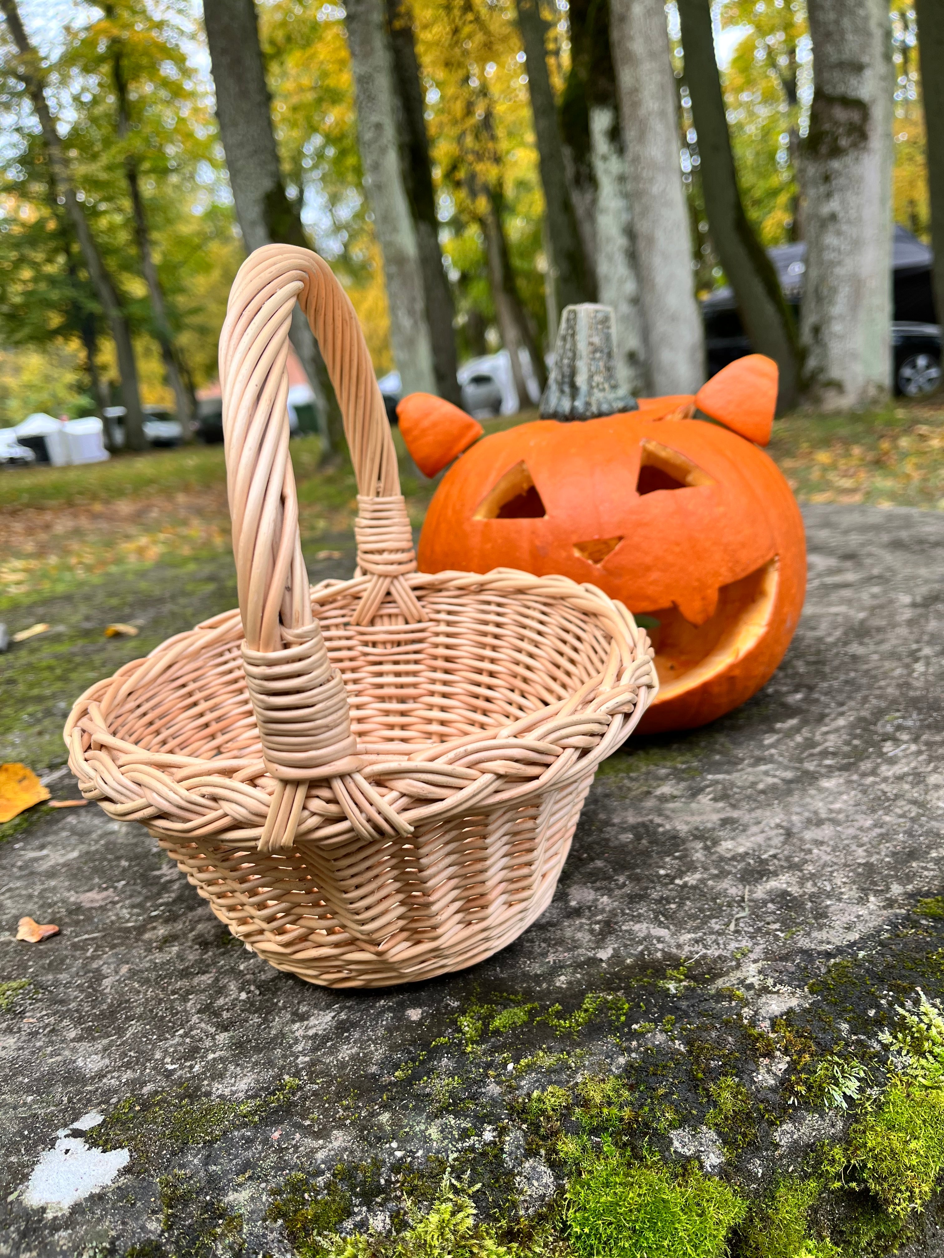 Small Rustic Decorative Wicker Basket