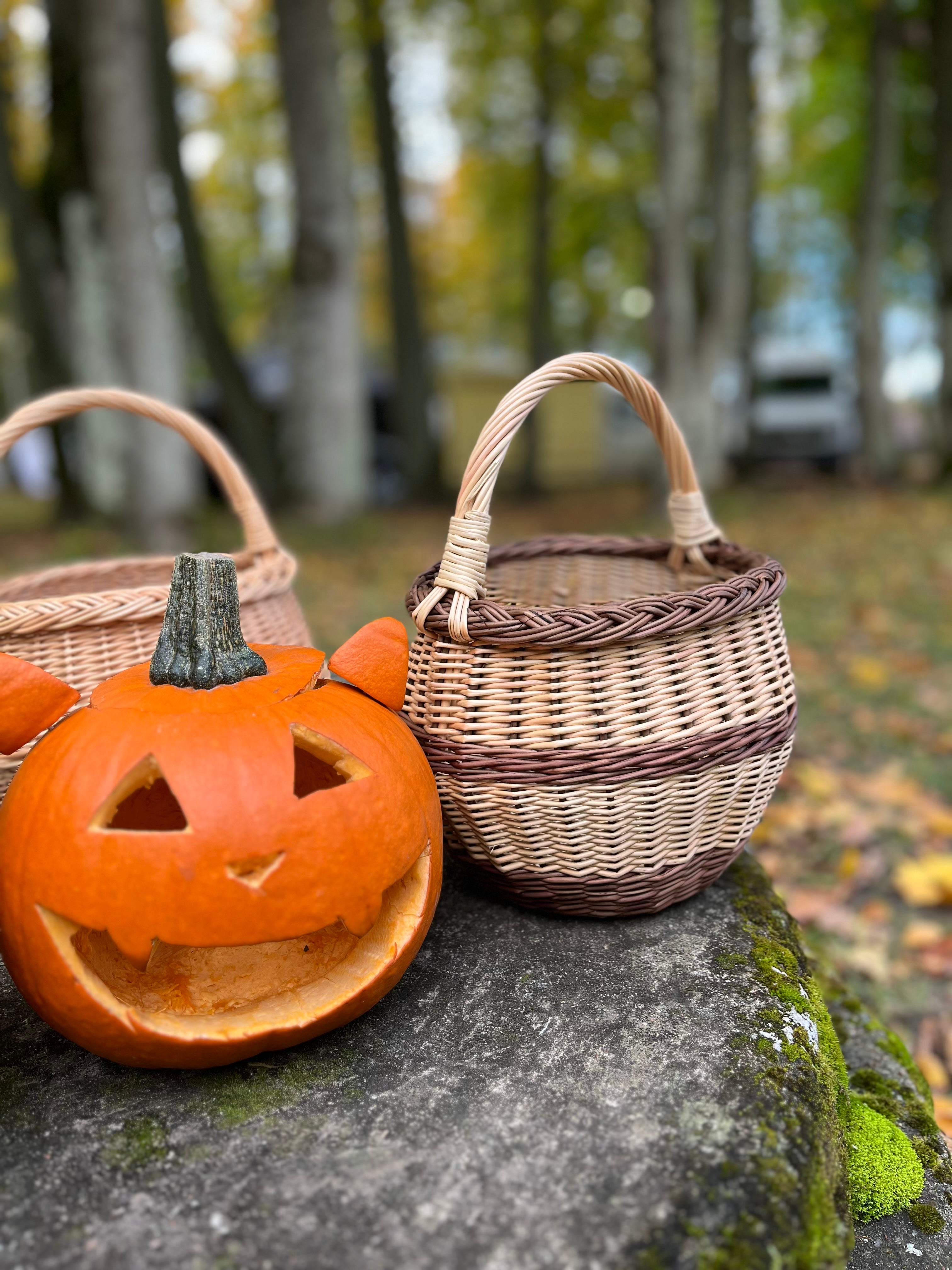 Small Wicker Basket