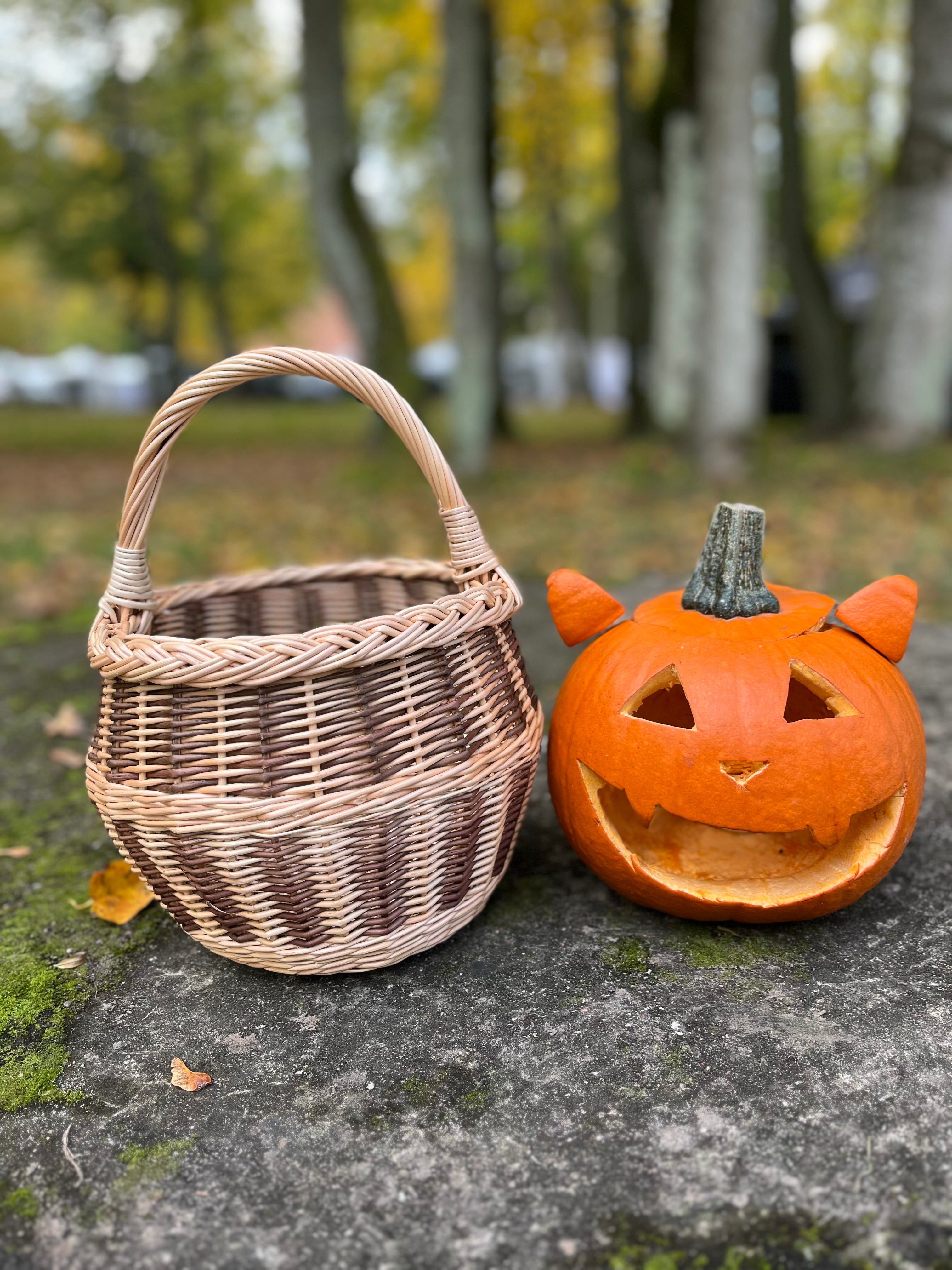 Small Wicker Basket