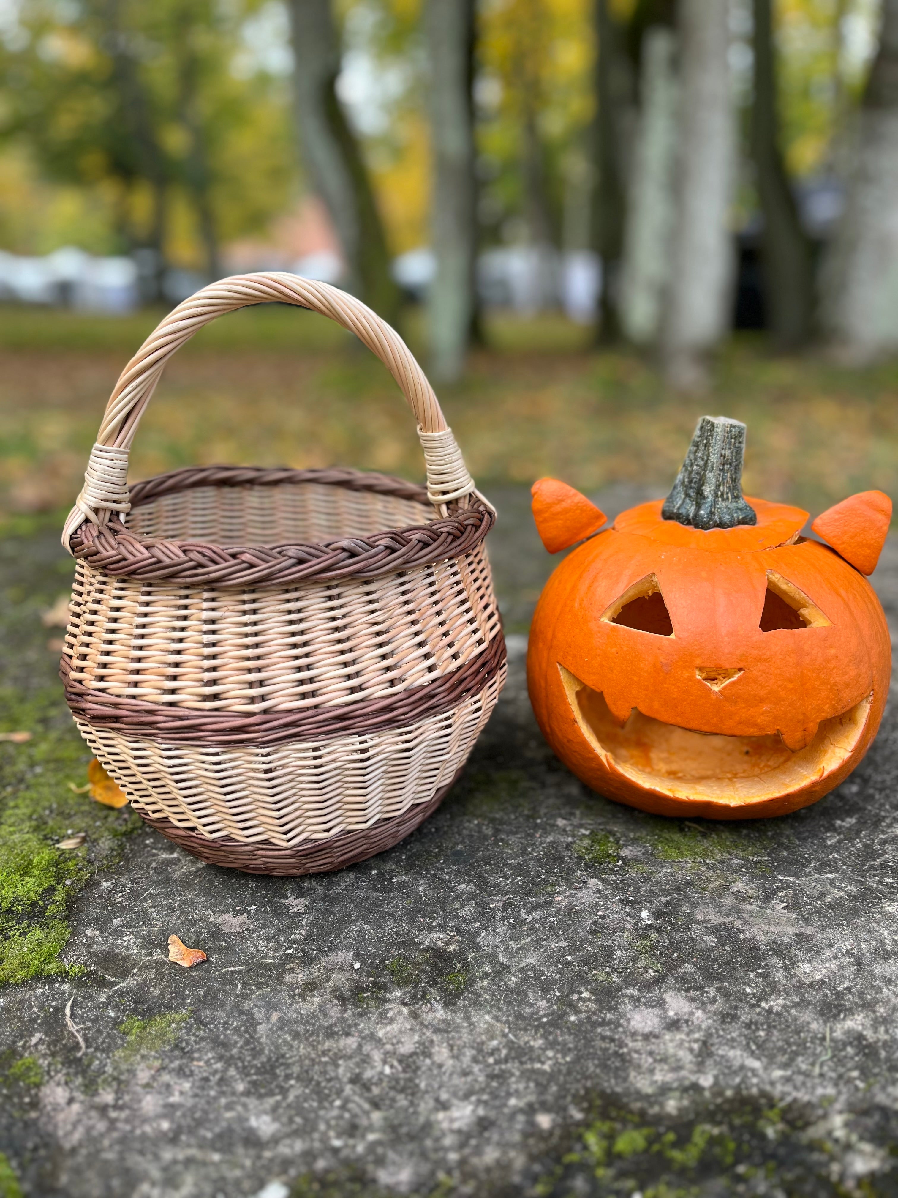 Small Wicker Basket