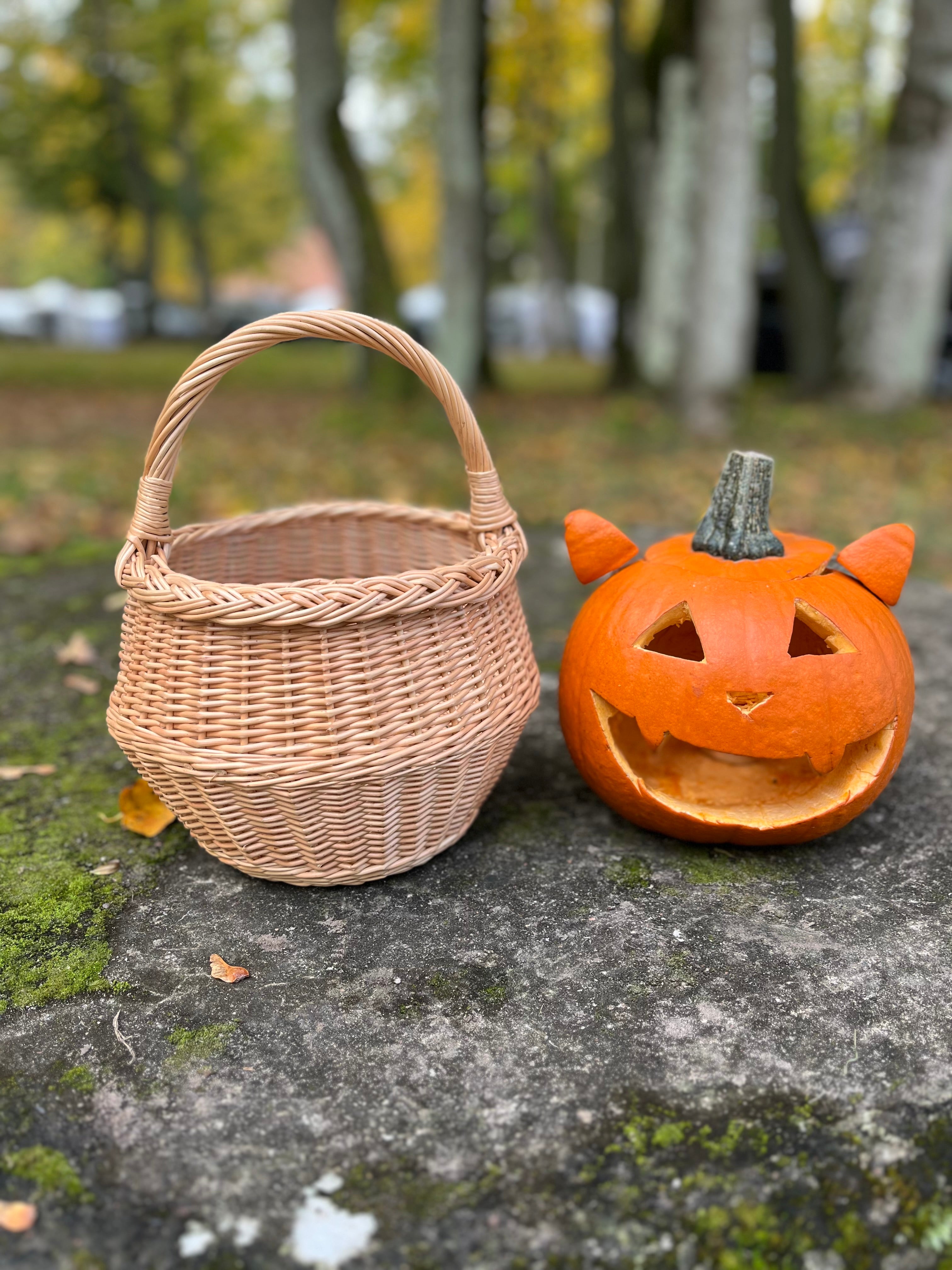 Small Wicker Basket