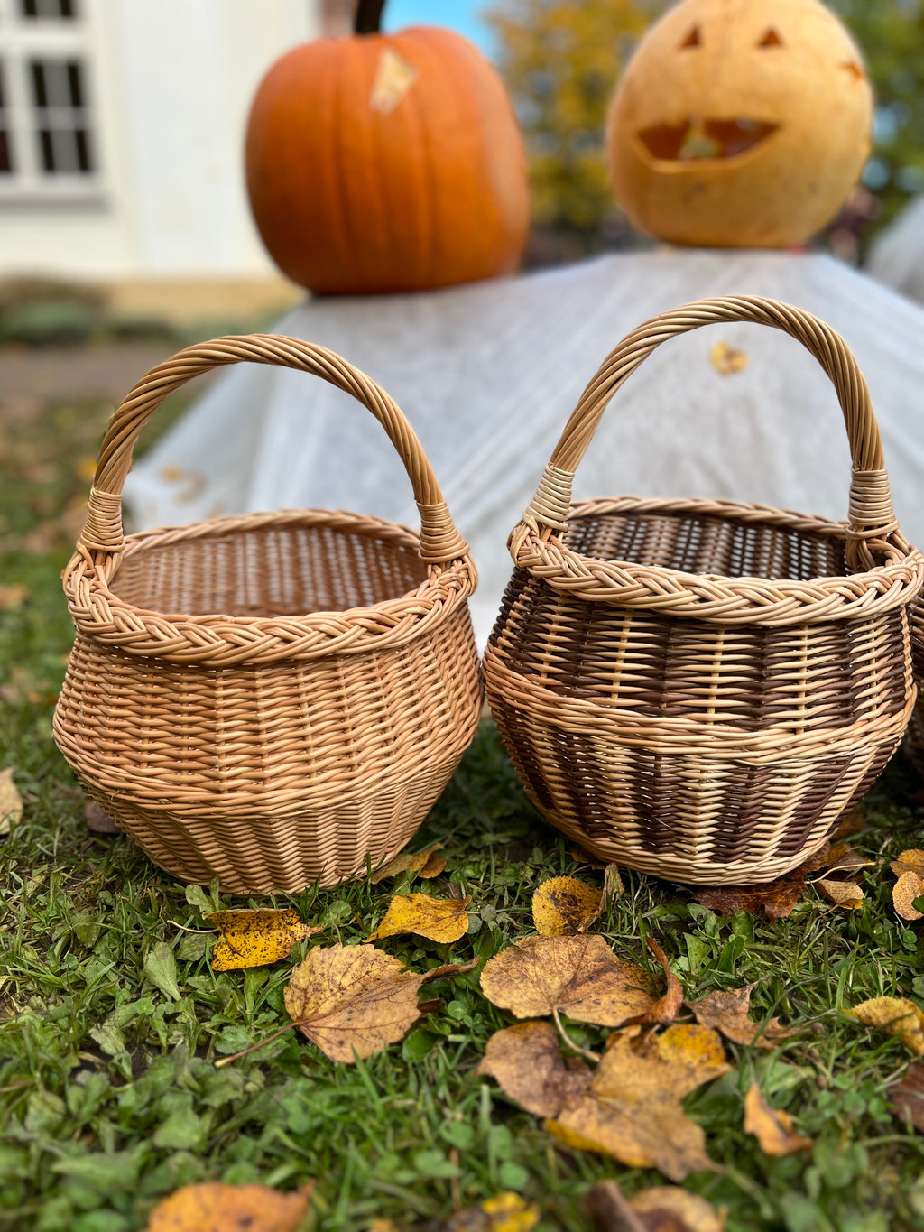 Small Wicker Basket