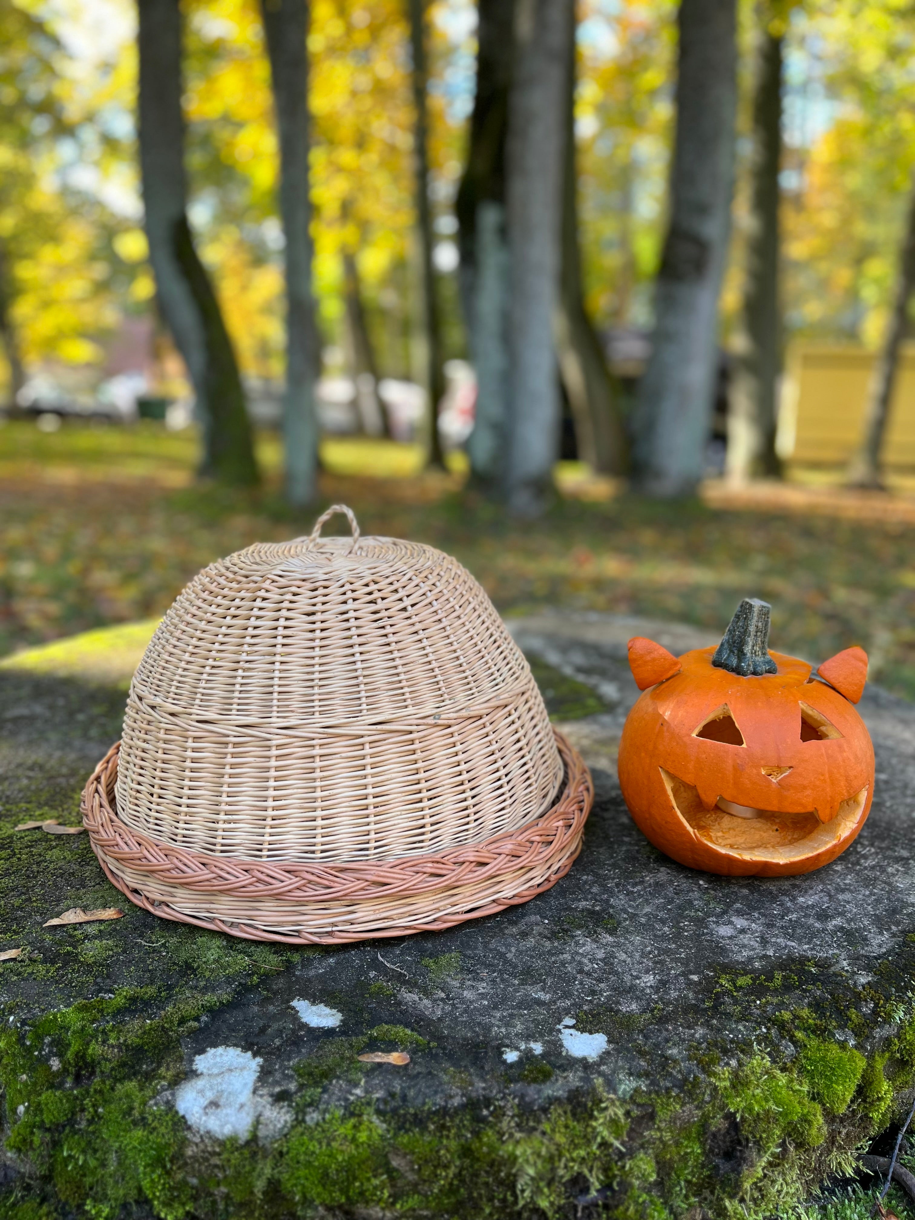 Handmade Wicker Food Cover with Tray