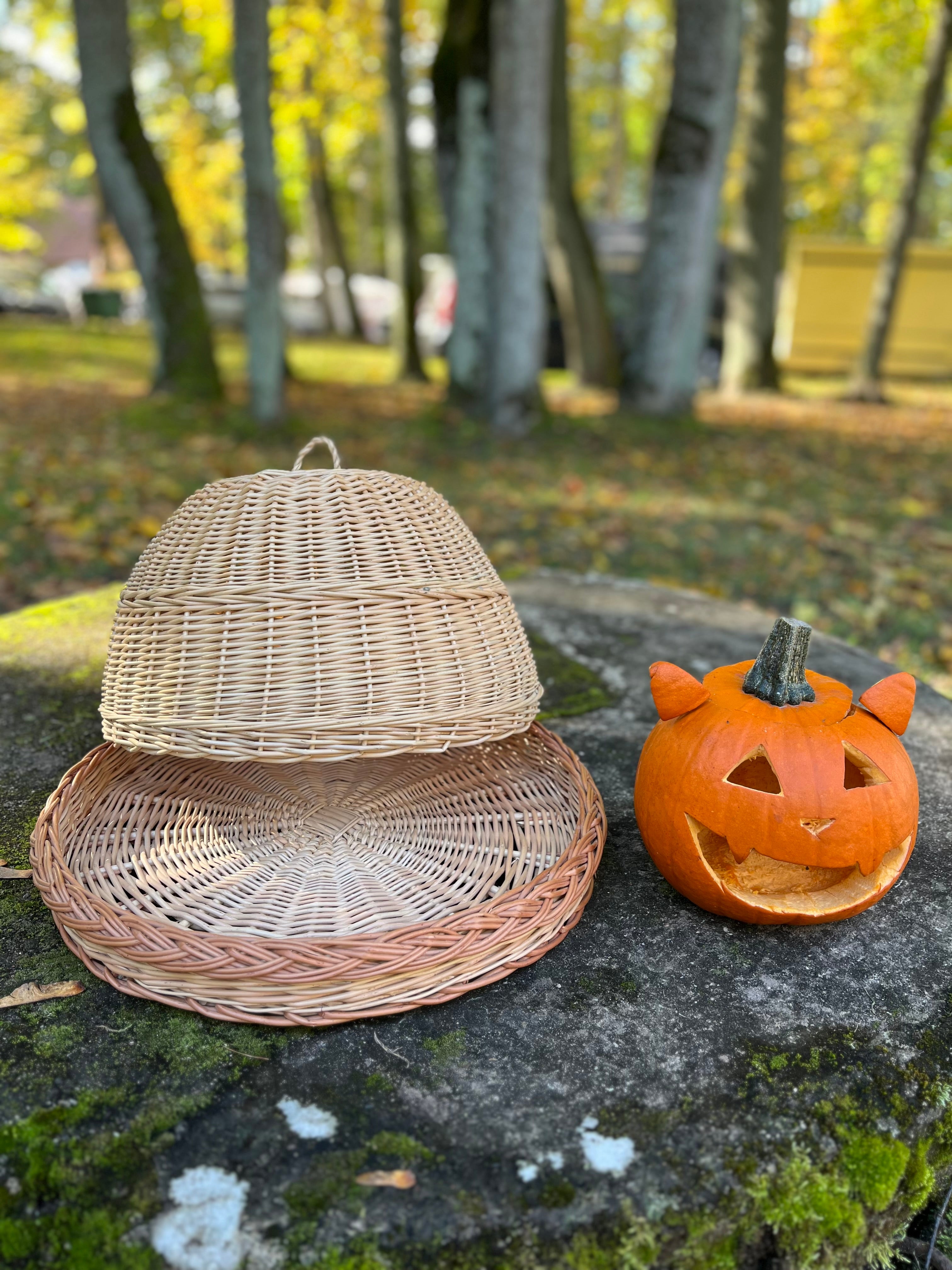 Handmade Wicker Food Cover with Tray