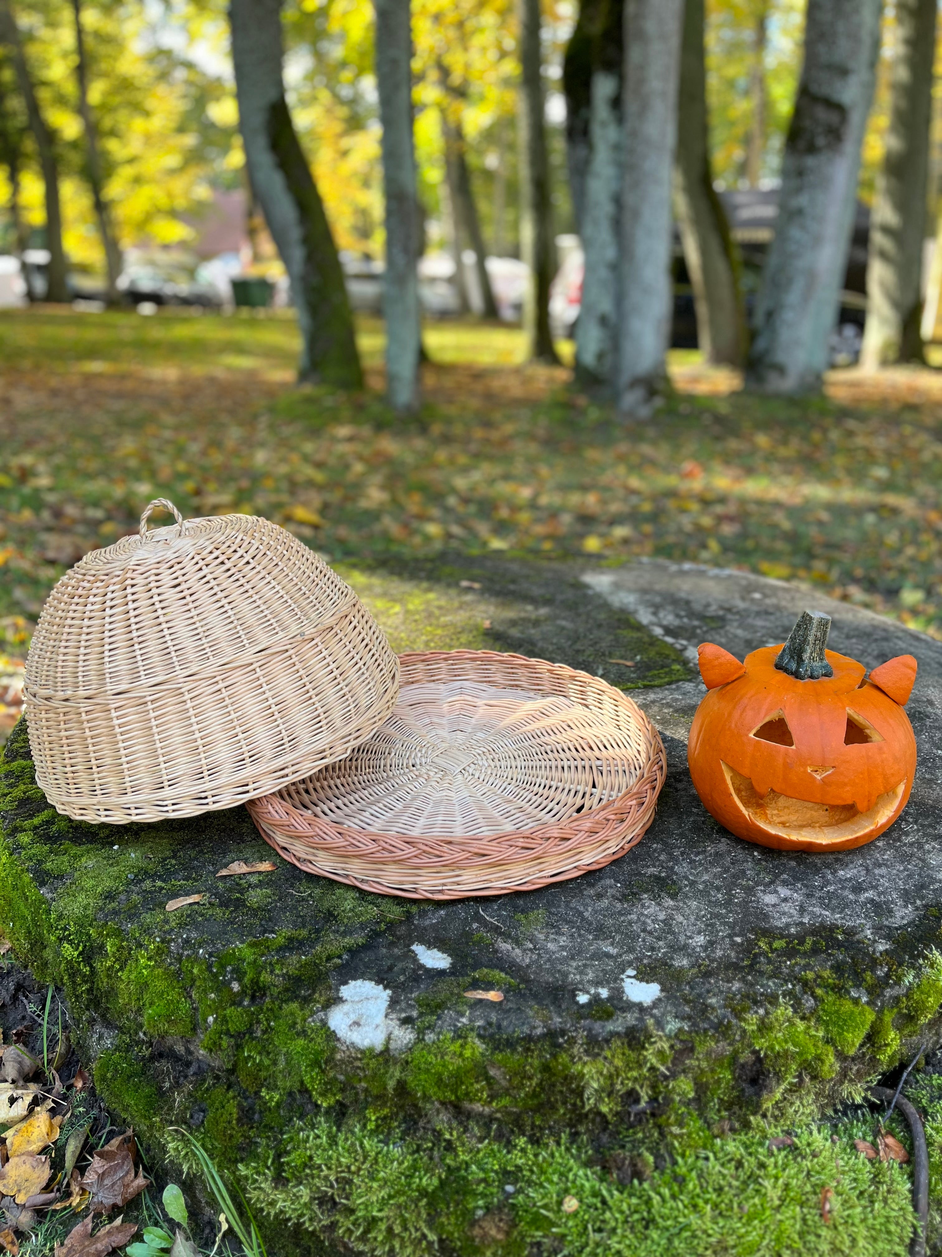 Handmade Wicker Food Cover with Tray