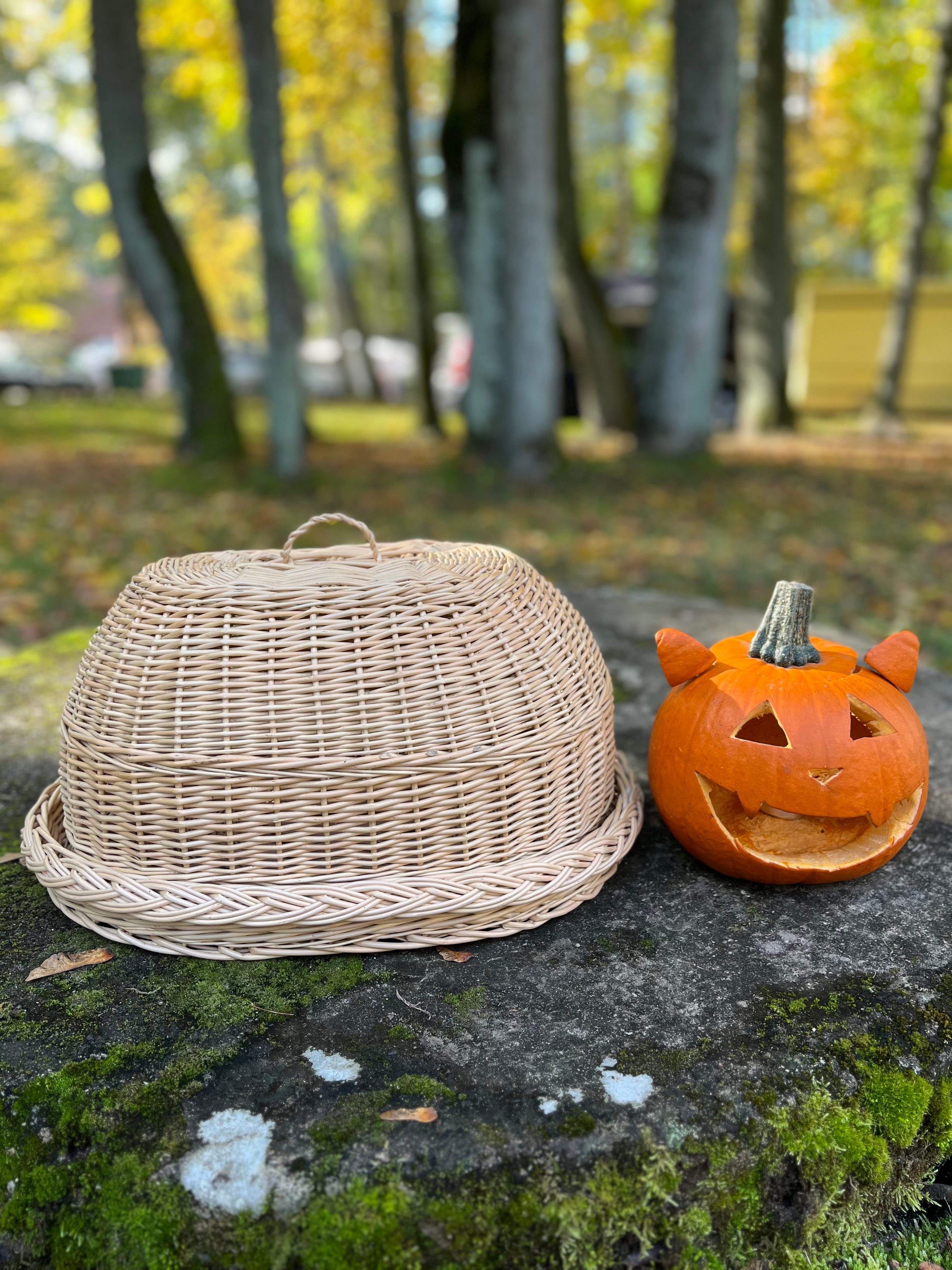 Handwoven Wicker Tray with Dome Lid