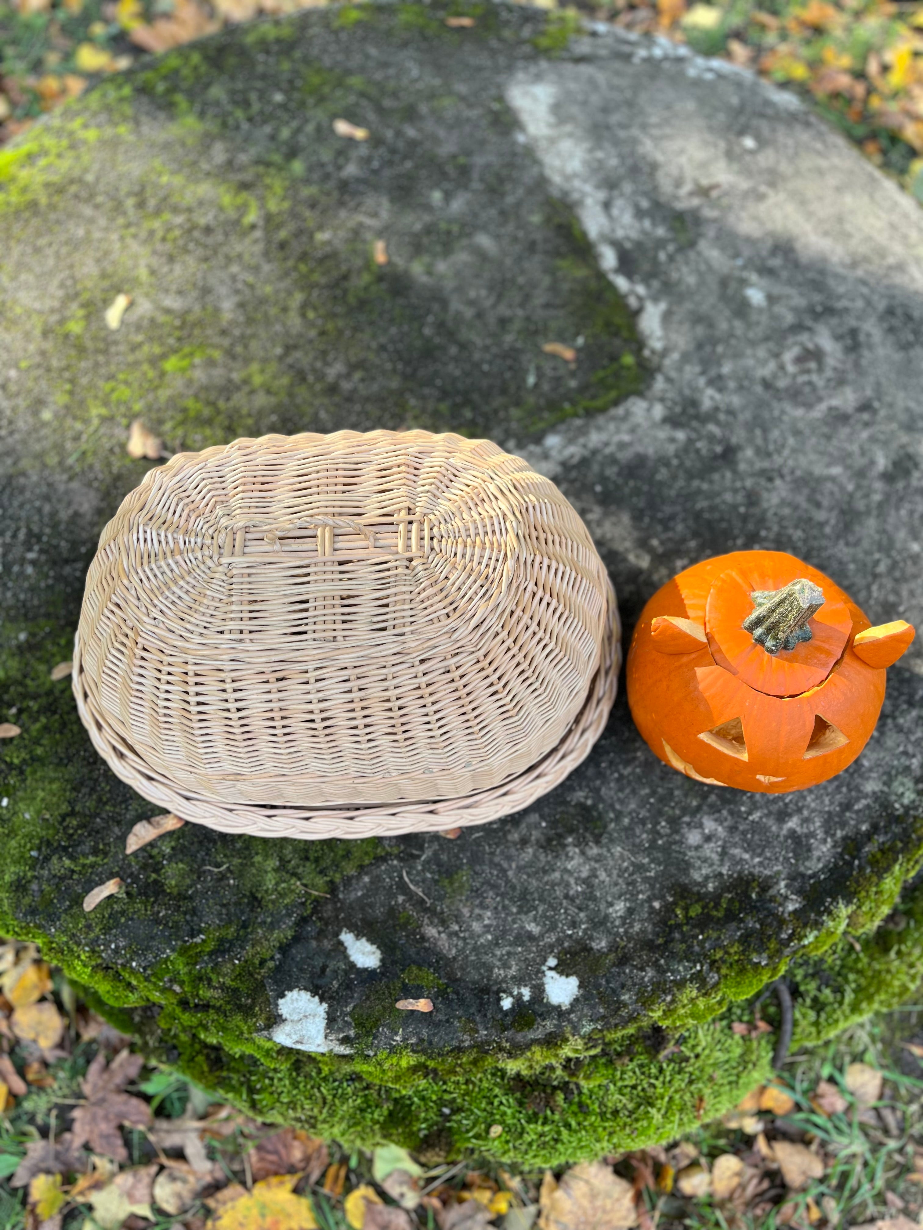 Handwoven Wicker Tray with Dome Lid