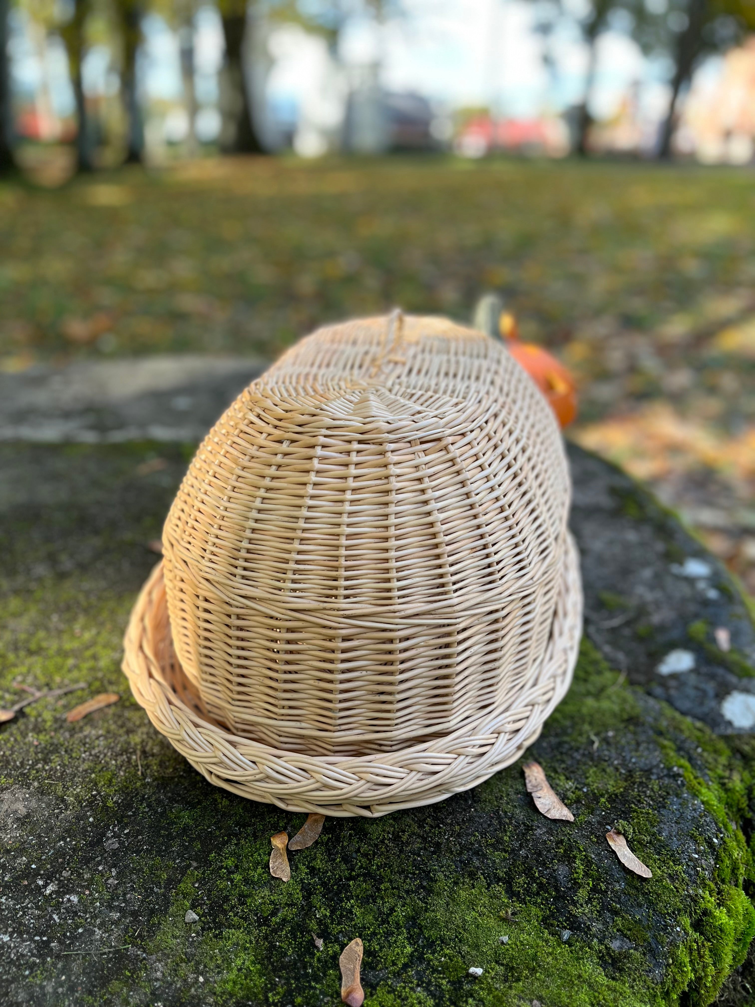 Handwoven Wicker Tray with Dome Lid