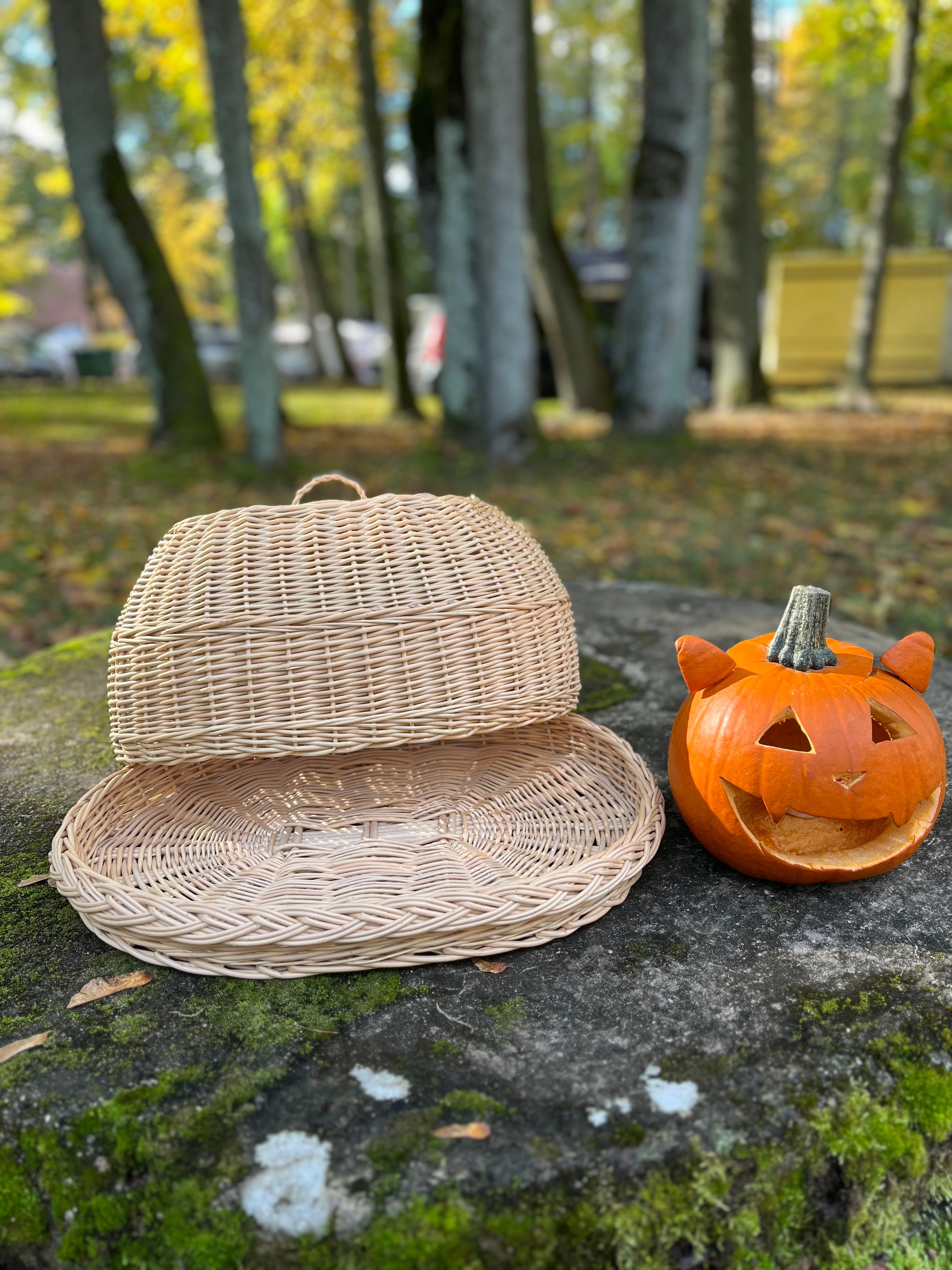 Handwoven Wicker Tray with Dome Lid