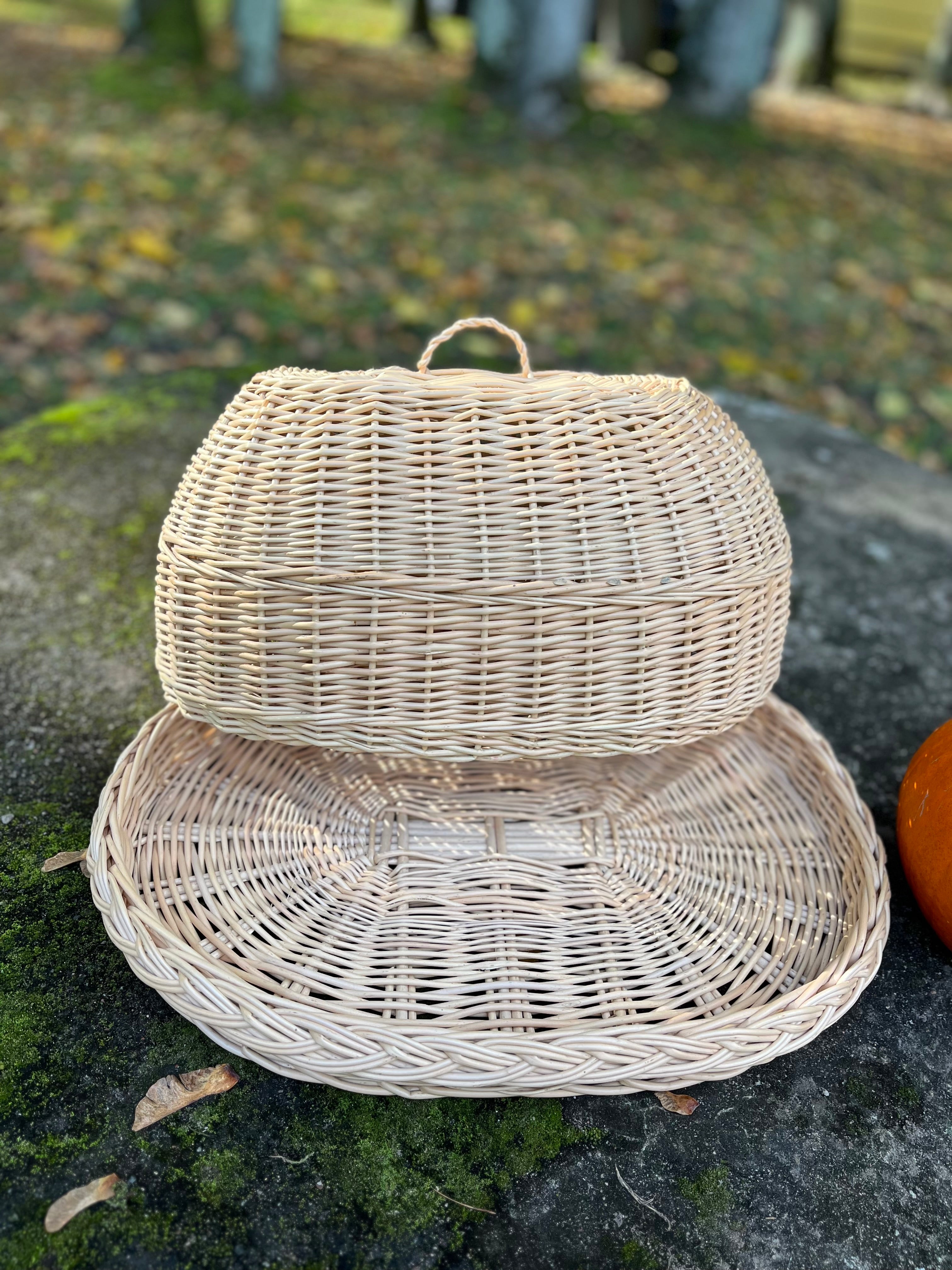 Handwoven Wicker Tray with Dome Lid