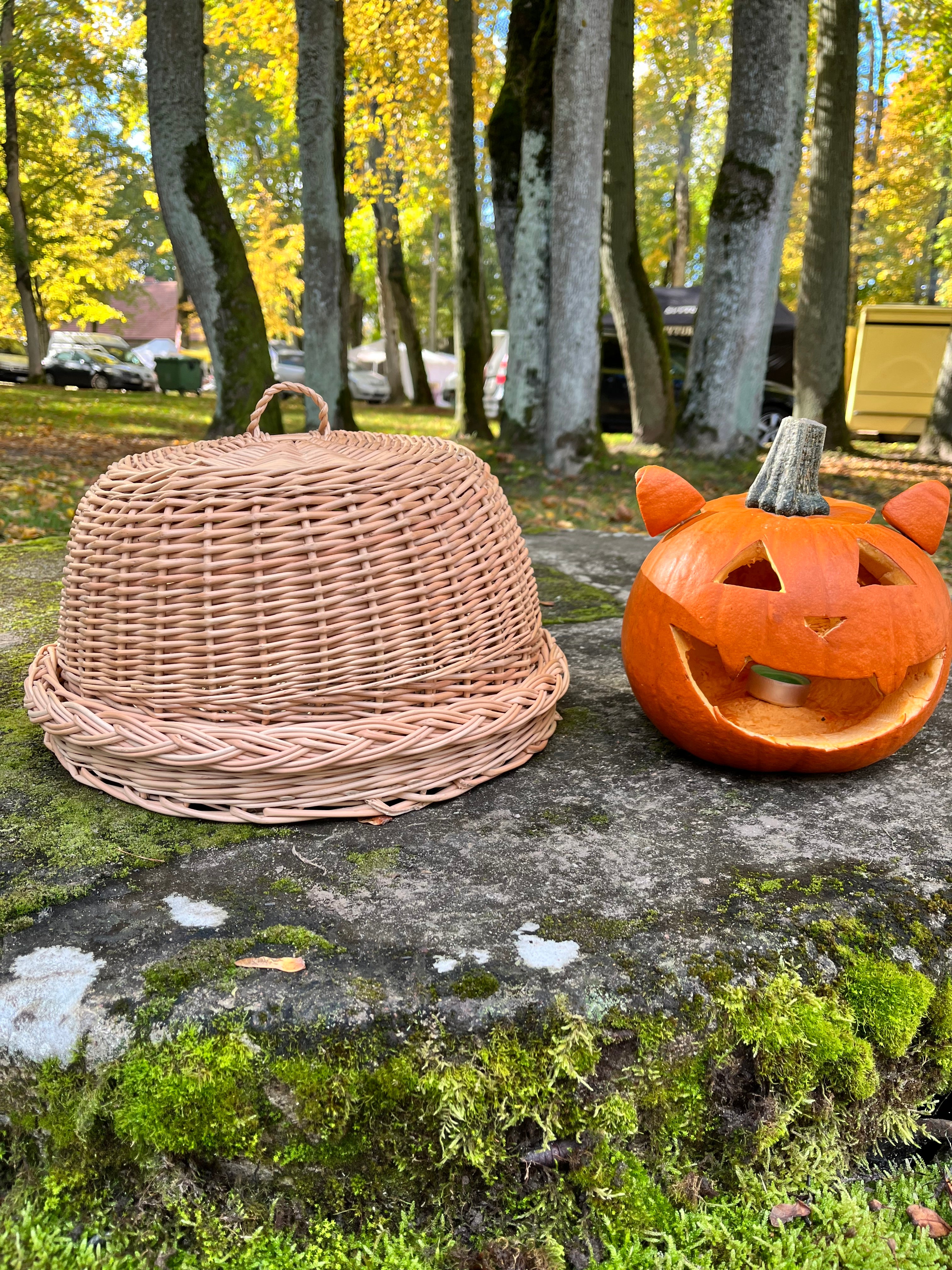 Rustic Kitchen Cloche & Tray
