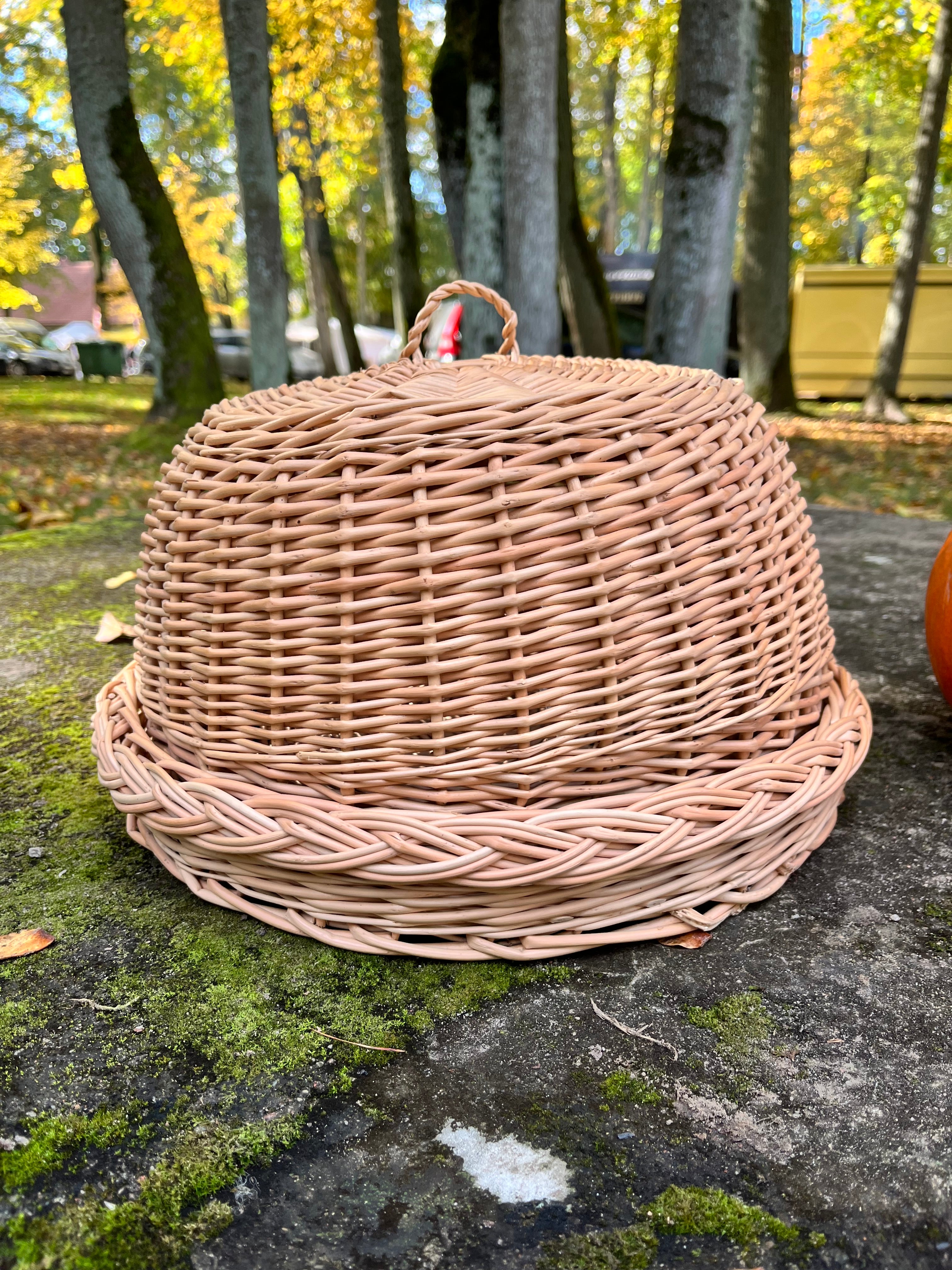 Rustic Kitchen Cloche & Tray