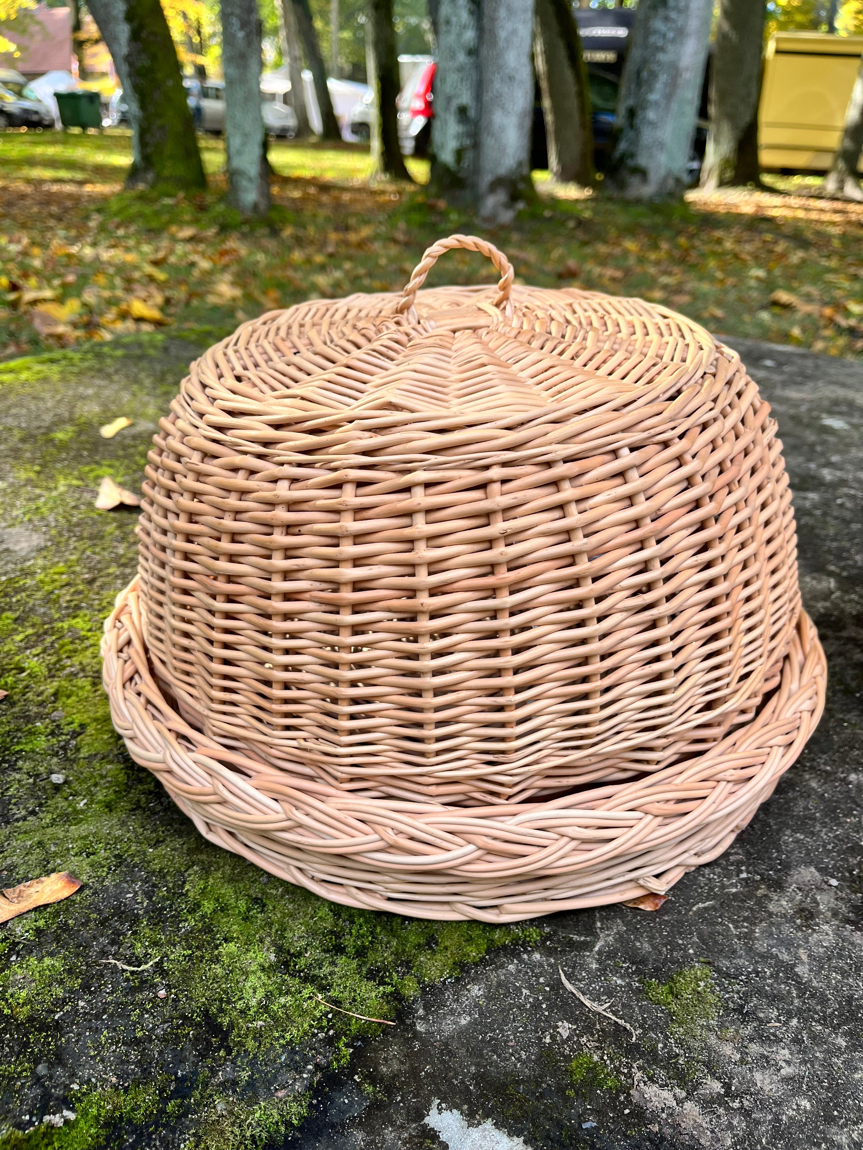 Rustic Kitchen Cloche & Tray