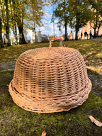 Rustic Kitchen Cloche & Tray