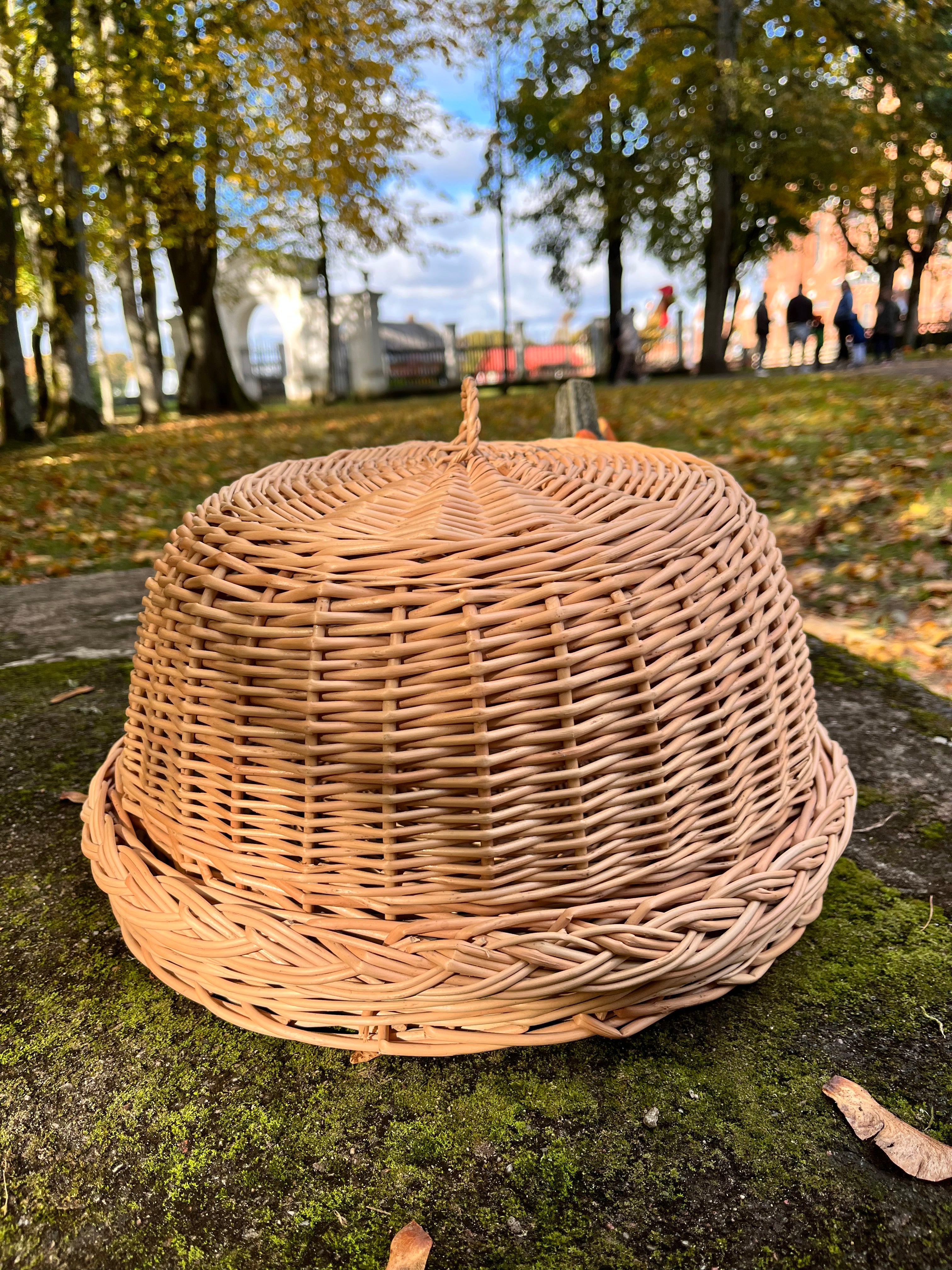 Rustic Kitchen Cloche & Tray