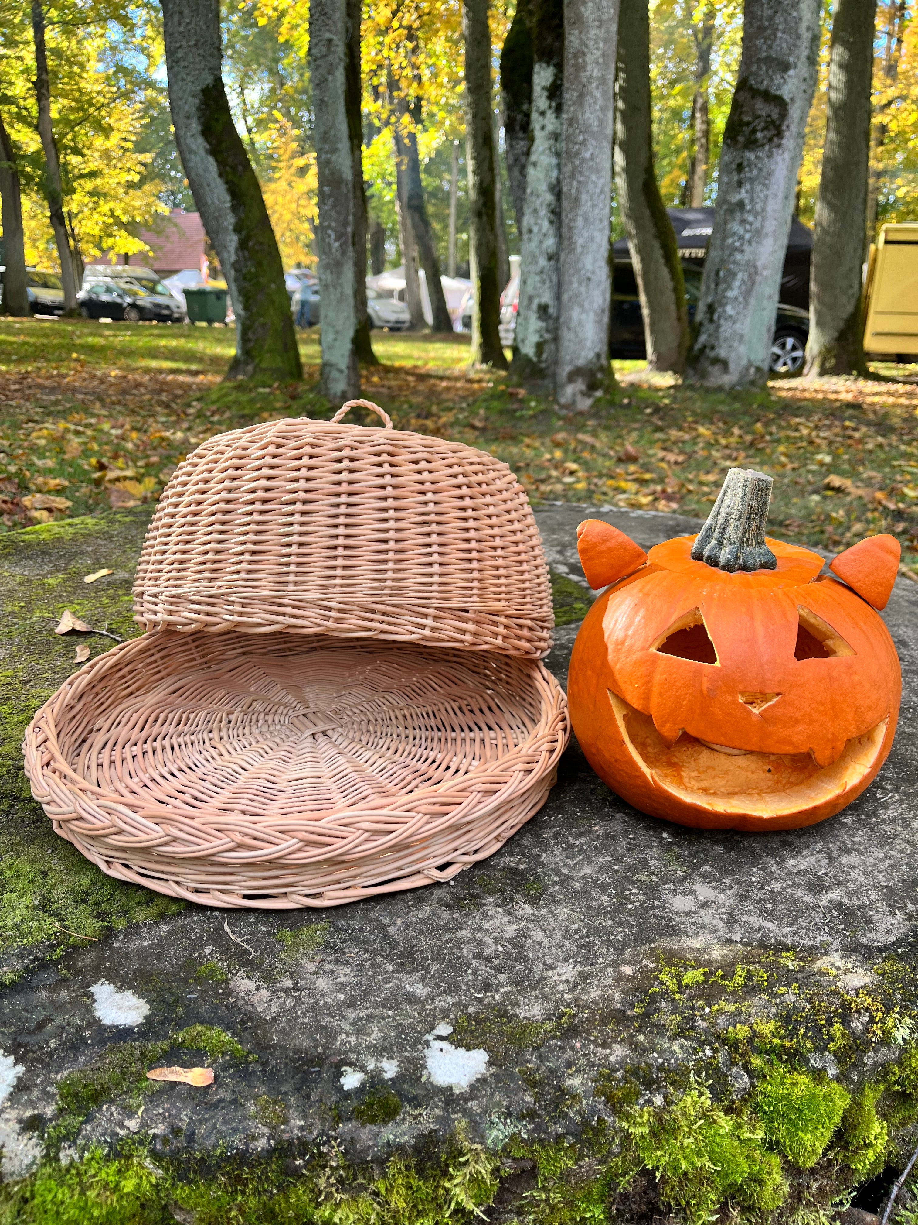Rustic Kitchen Cloche & Tray