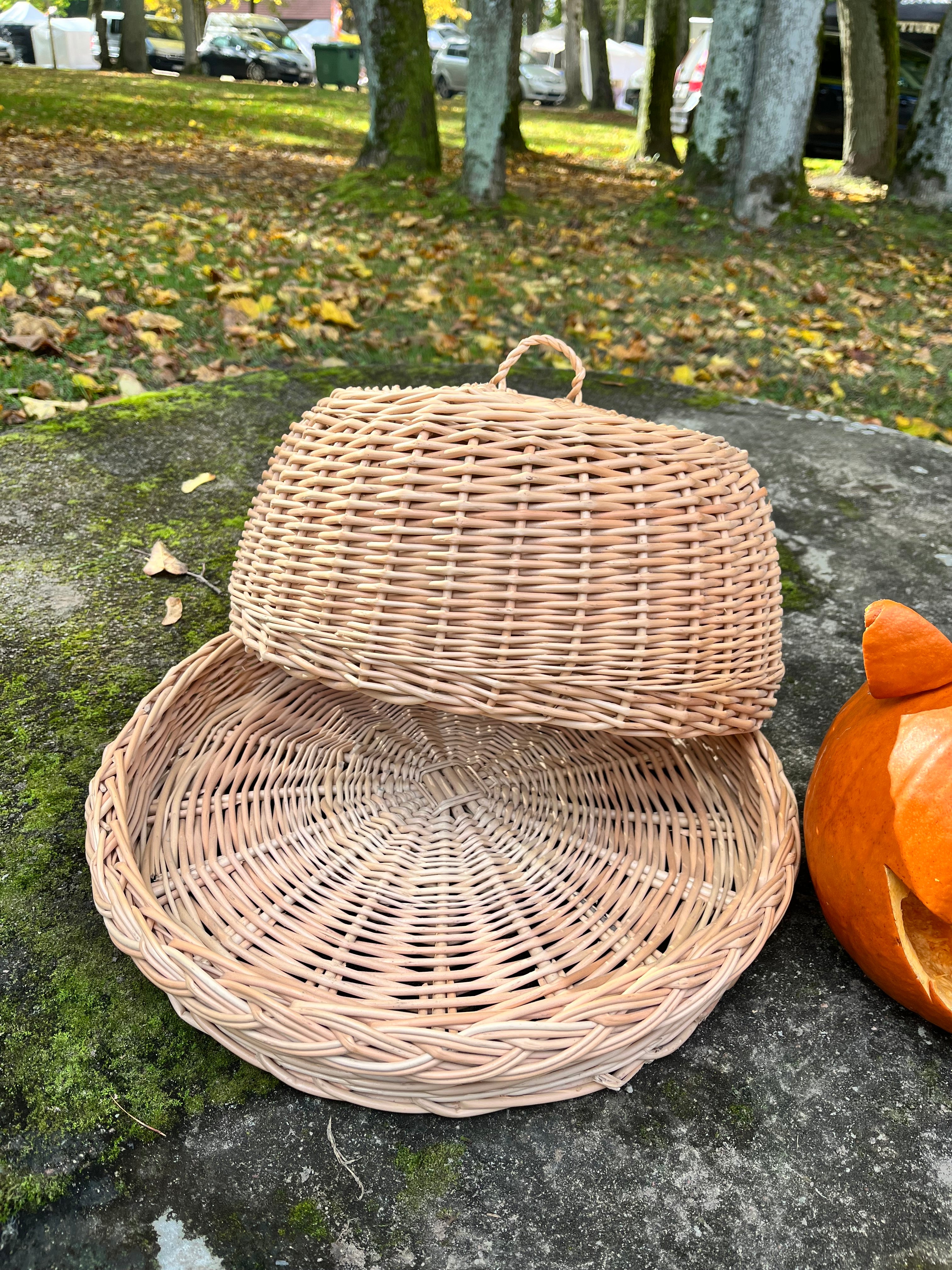 Rustic Kitchen Cloche & Tray