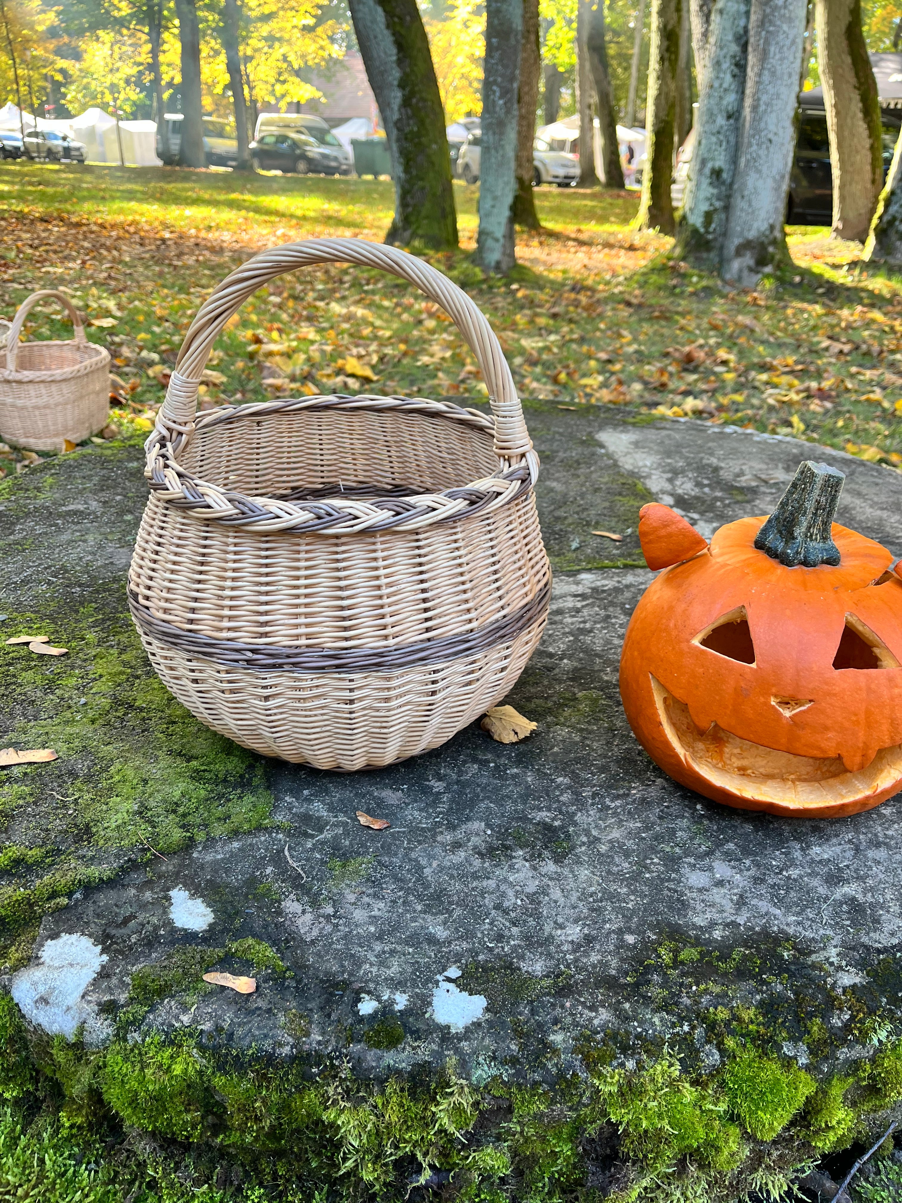 Artisan Wicker Basket