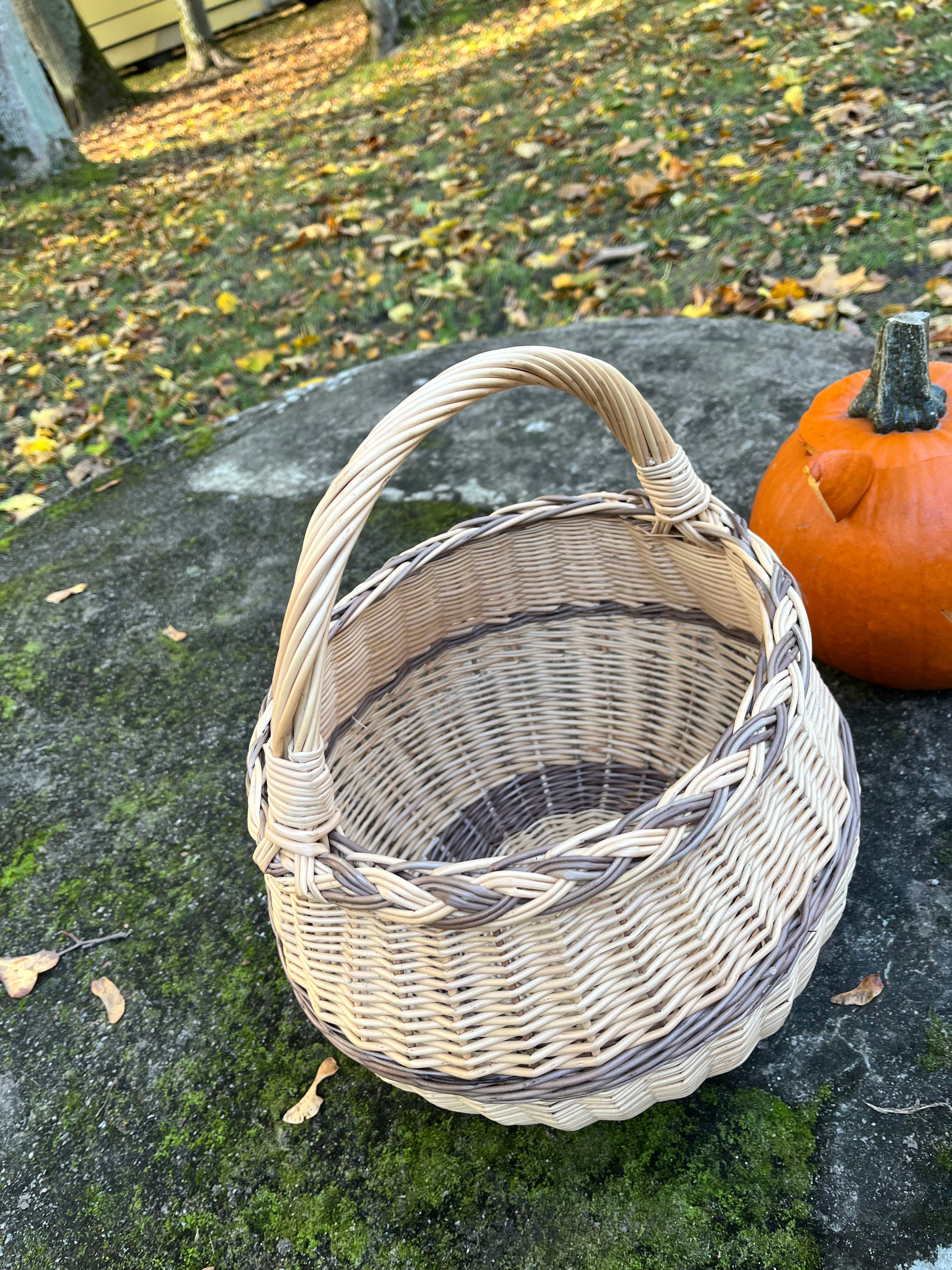 Artisan Wicker Basket