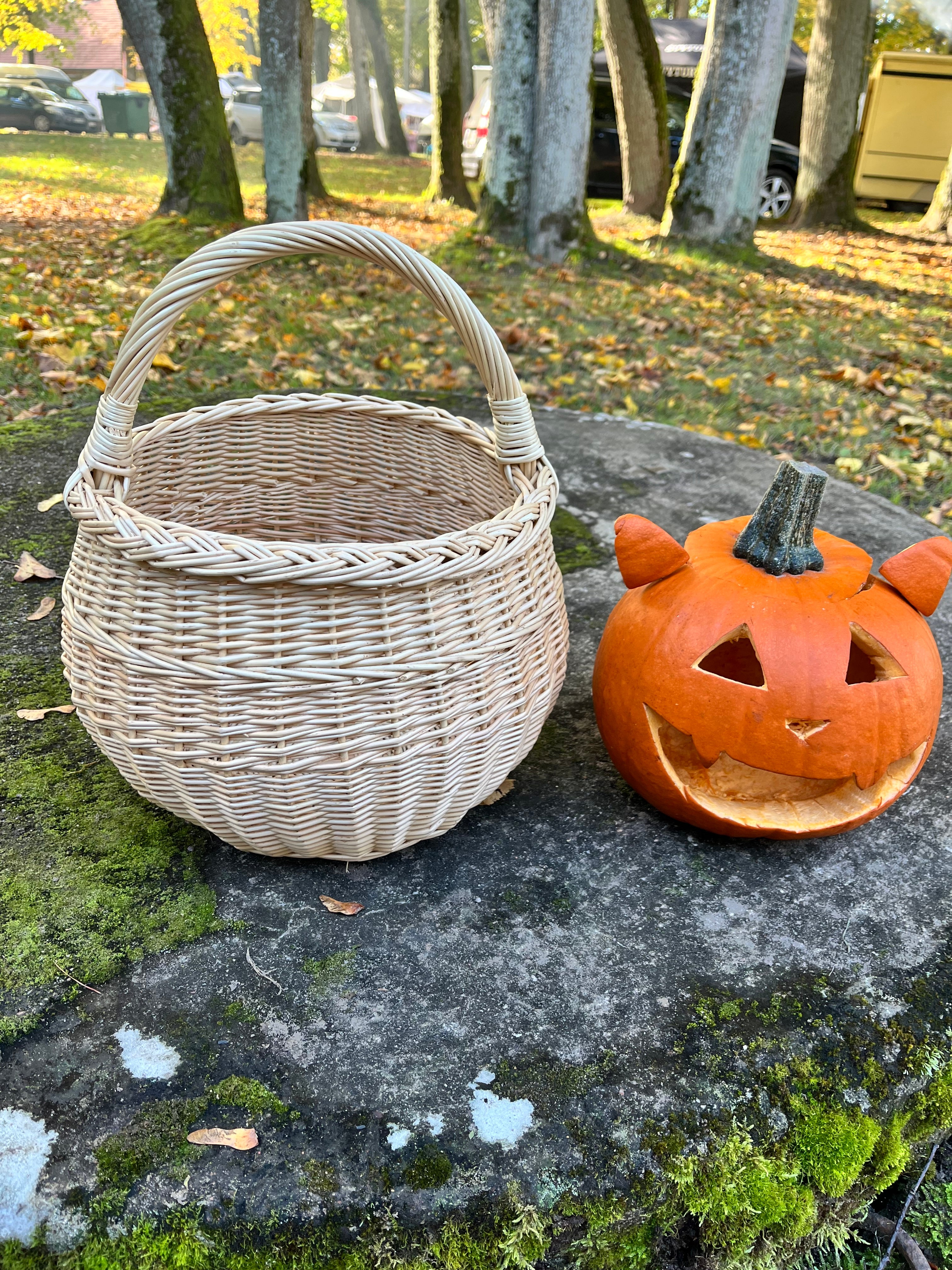 Artisan Wicker Basket
