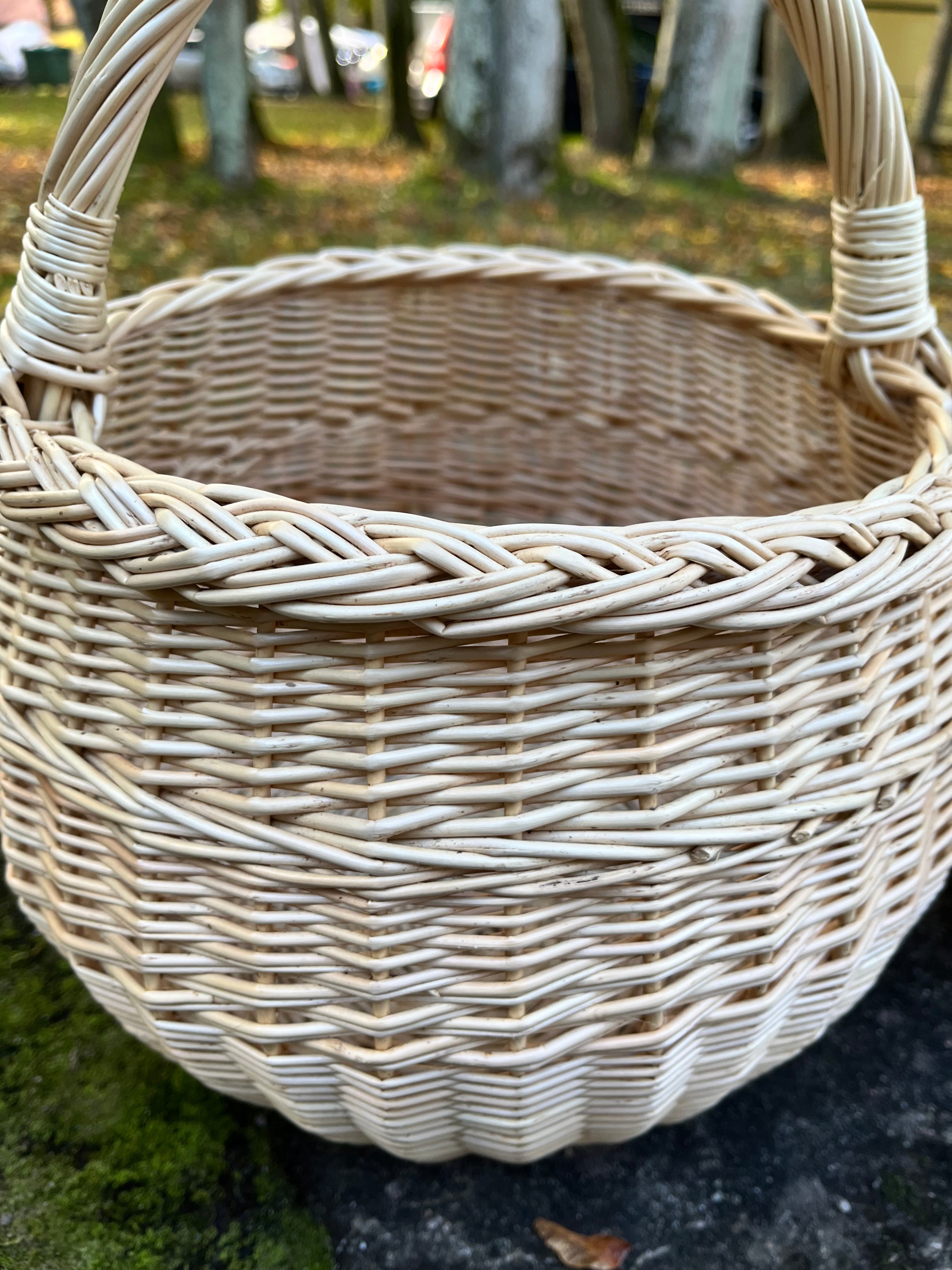 Artisan Wicker Basket