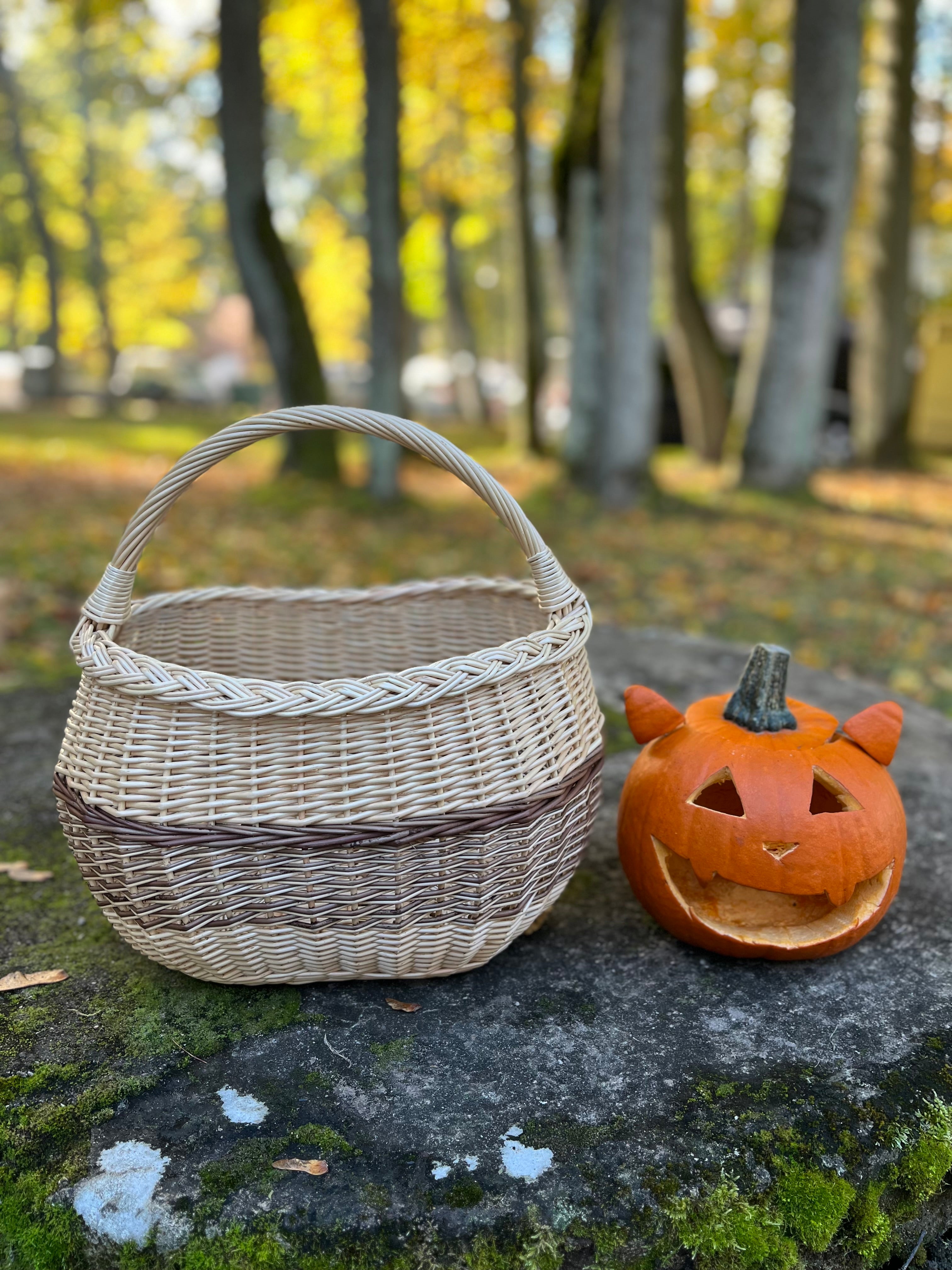 Rustic Decorative Wicker Basket