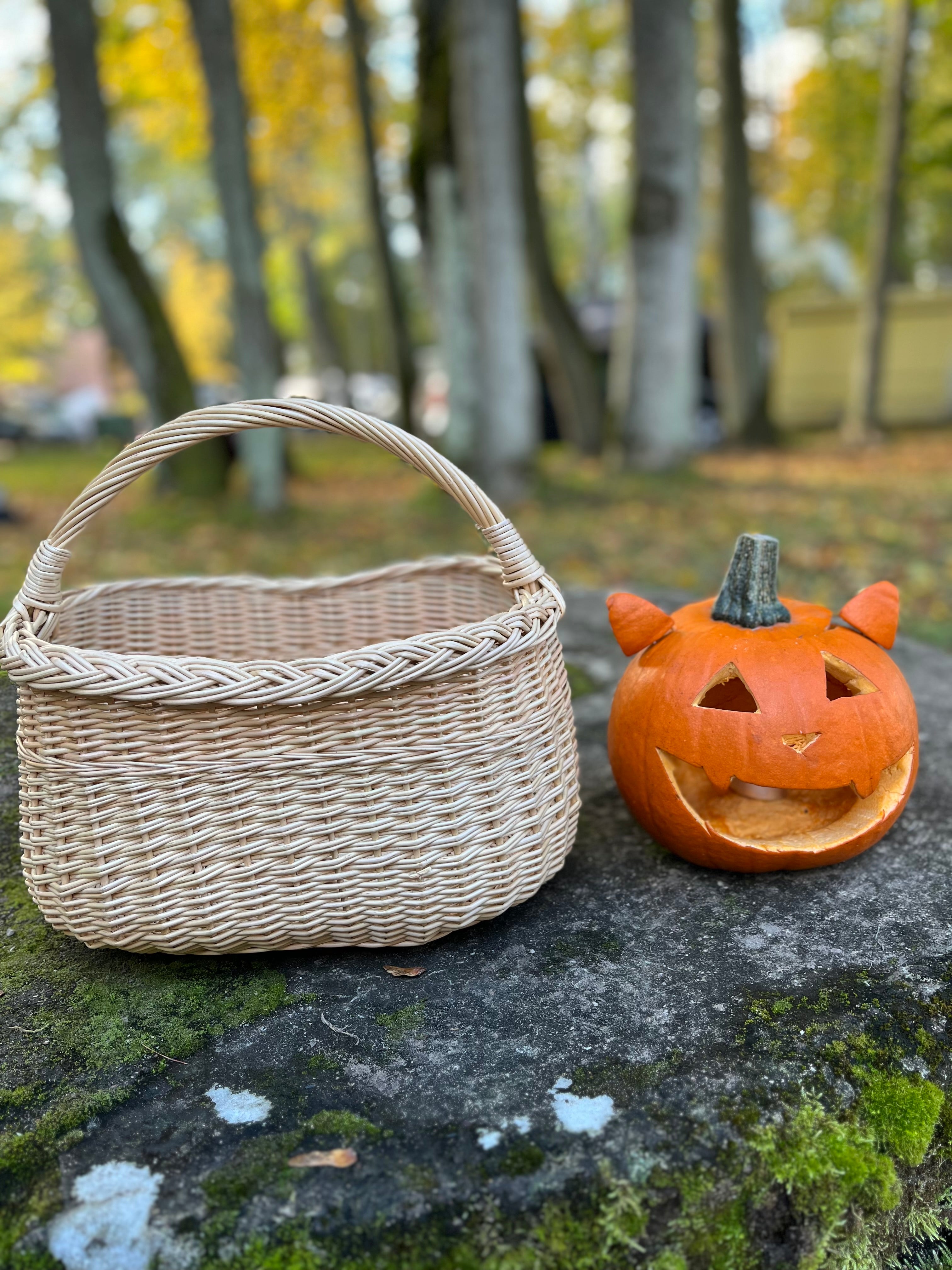 Wicker Oval Basket with Braided Rim