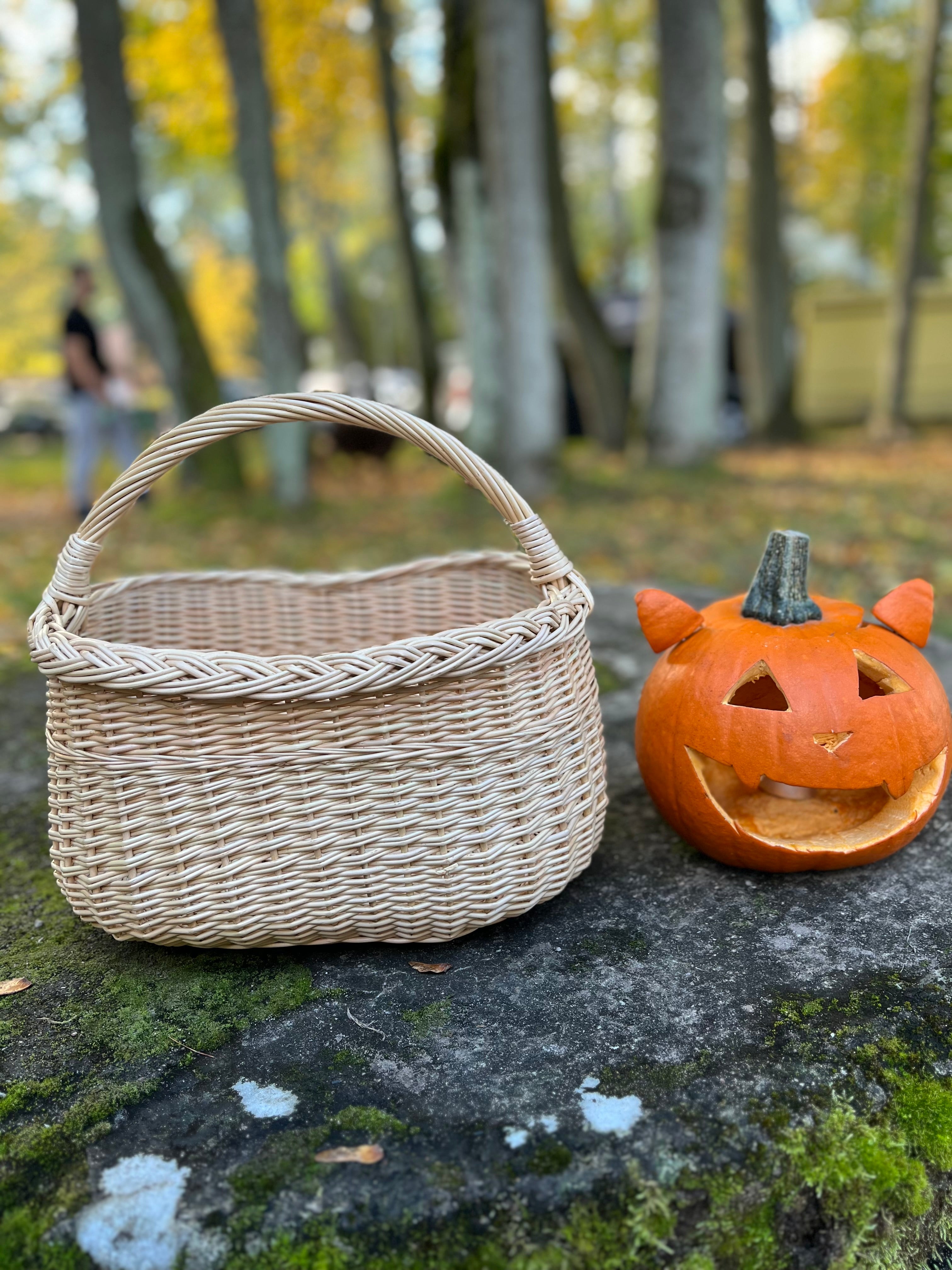 Wicker Oval Basket with Braided Rim