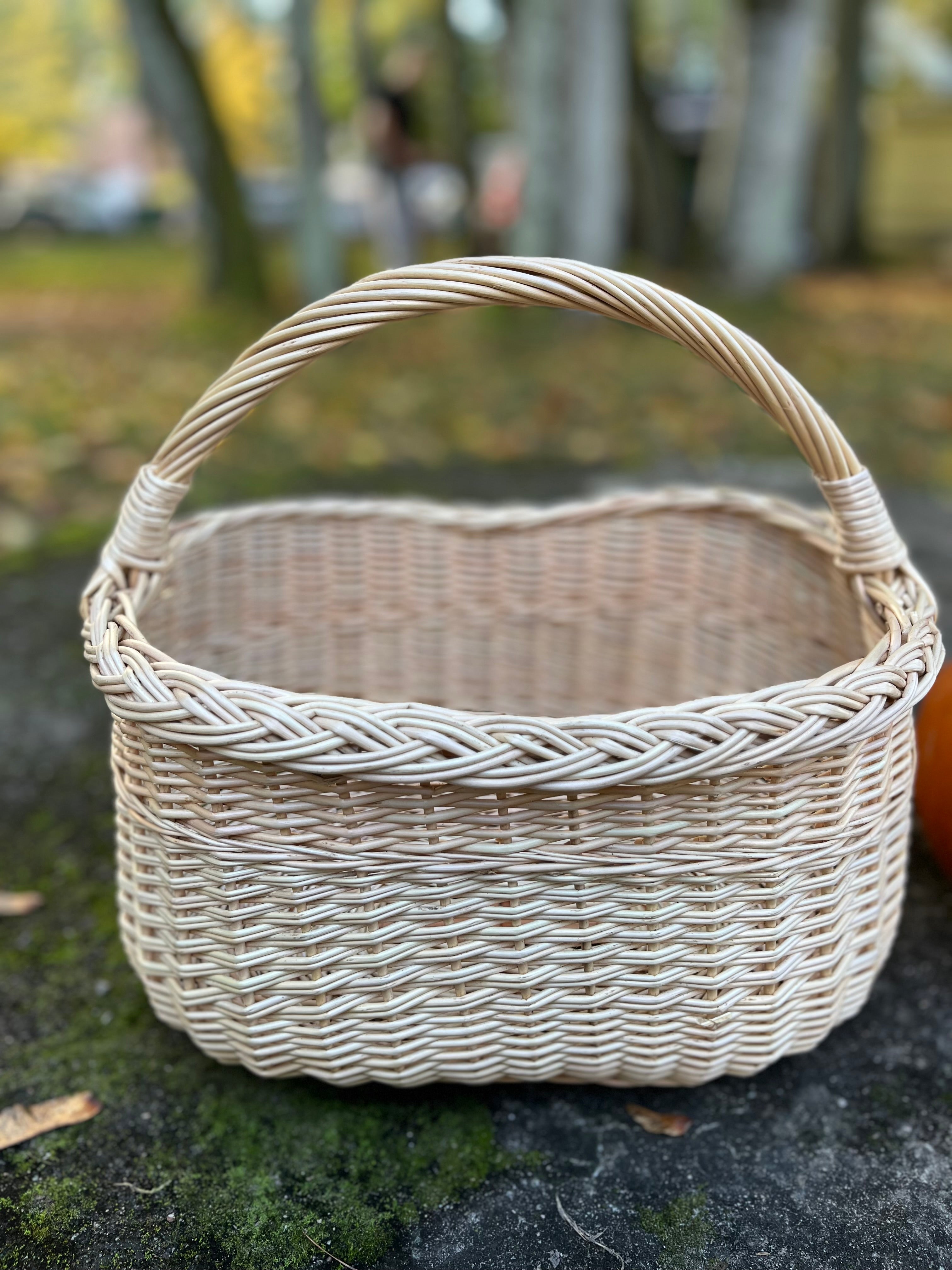 Wicker Oval Basket with Braided Rim