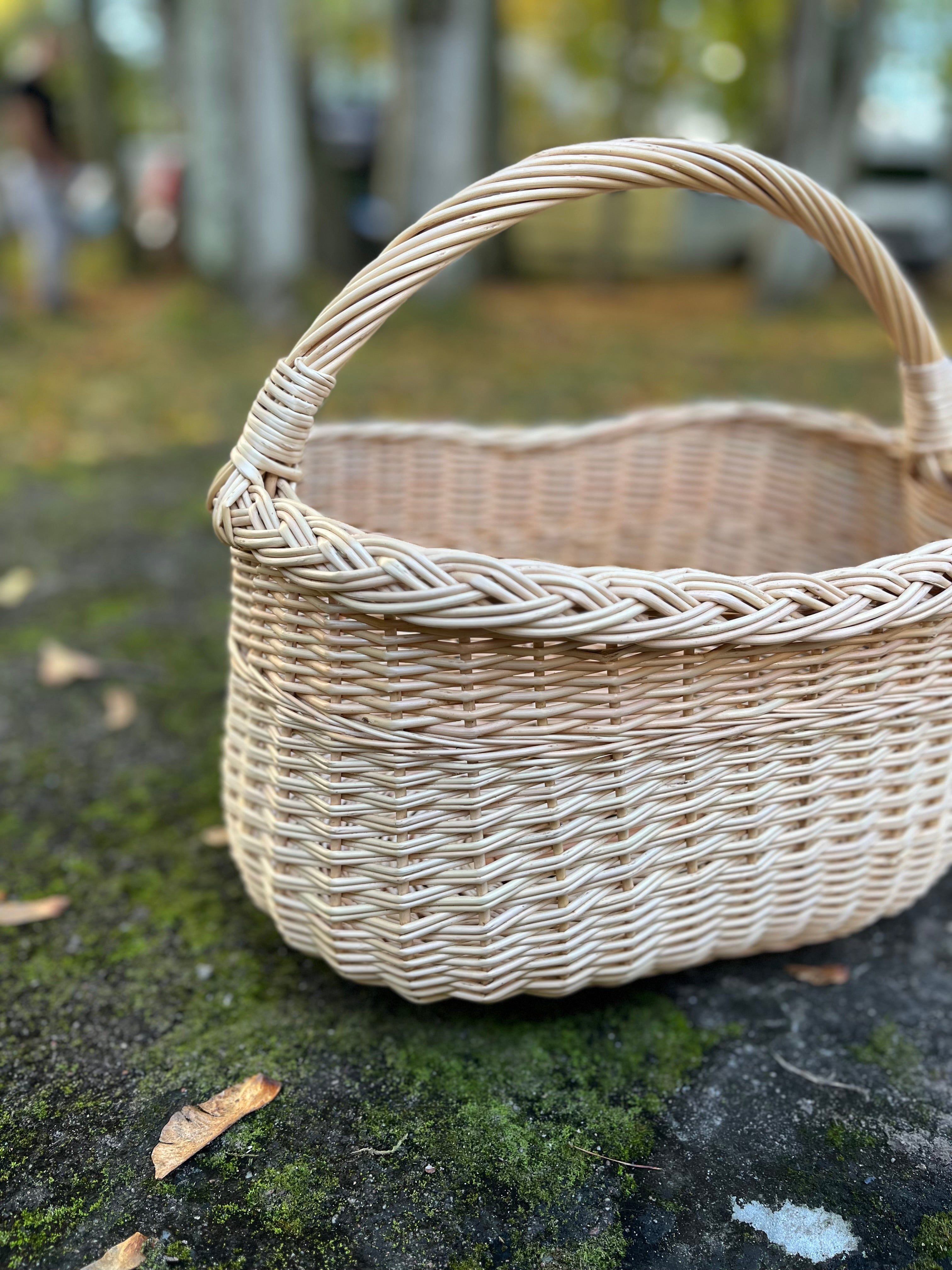 Wicker Oval Basket with Braided Rim