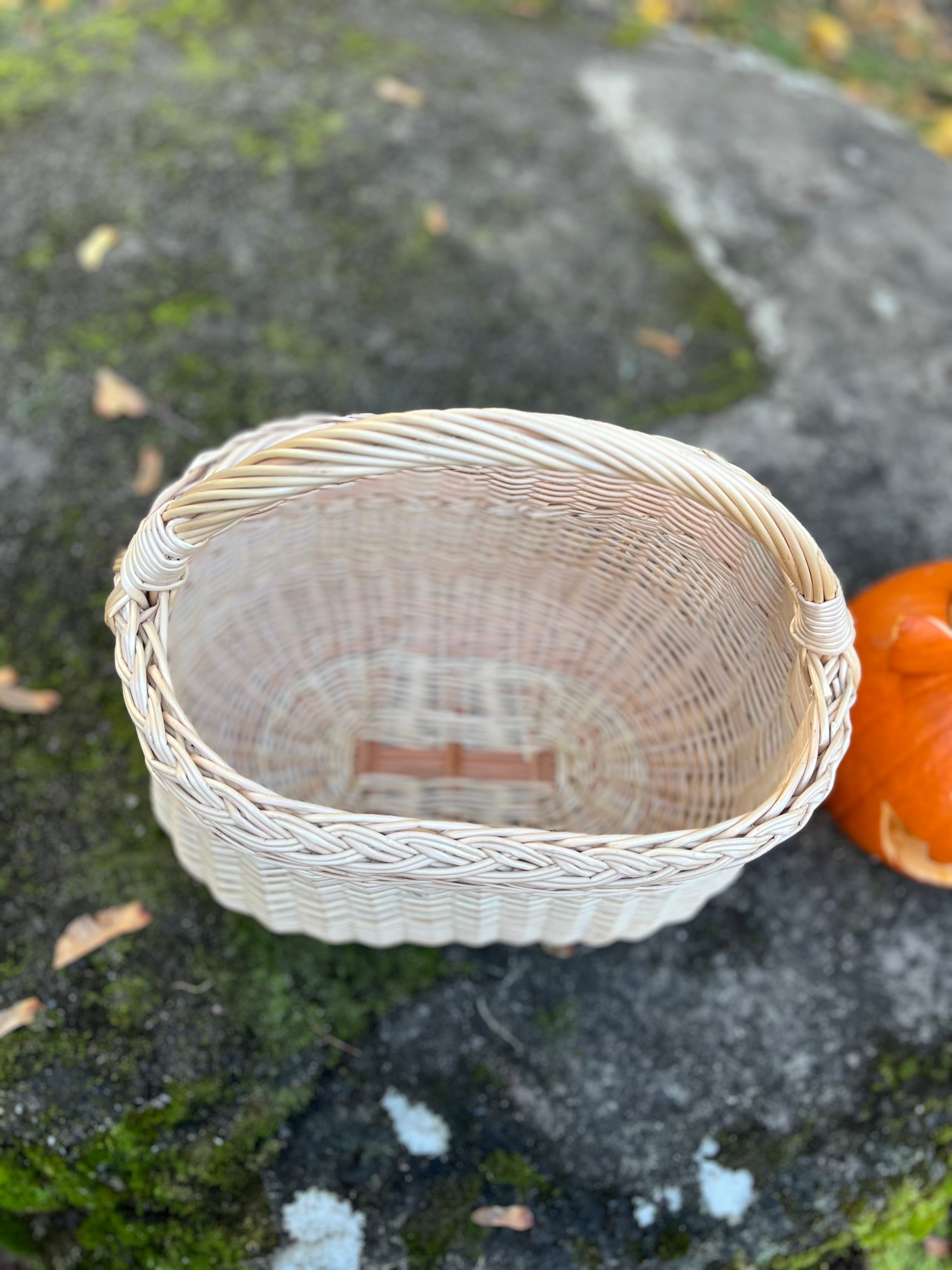 Wicker Oval Basket with Braided Rim
