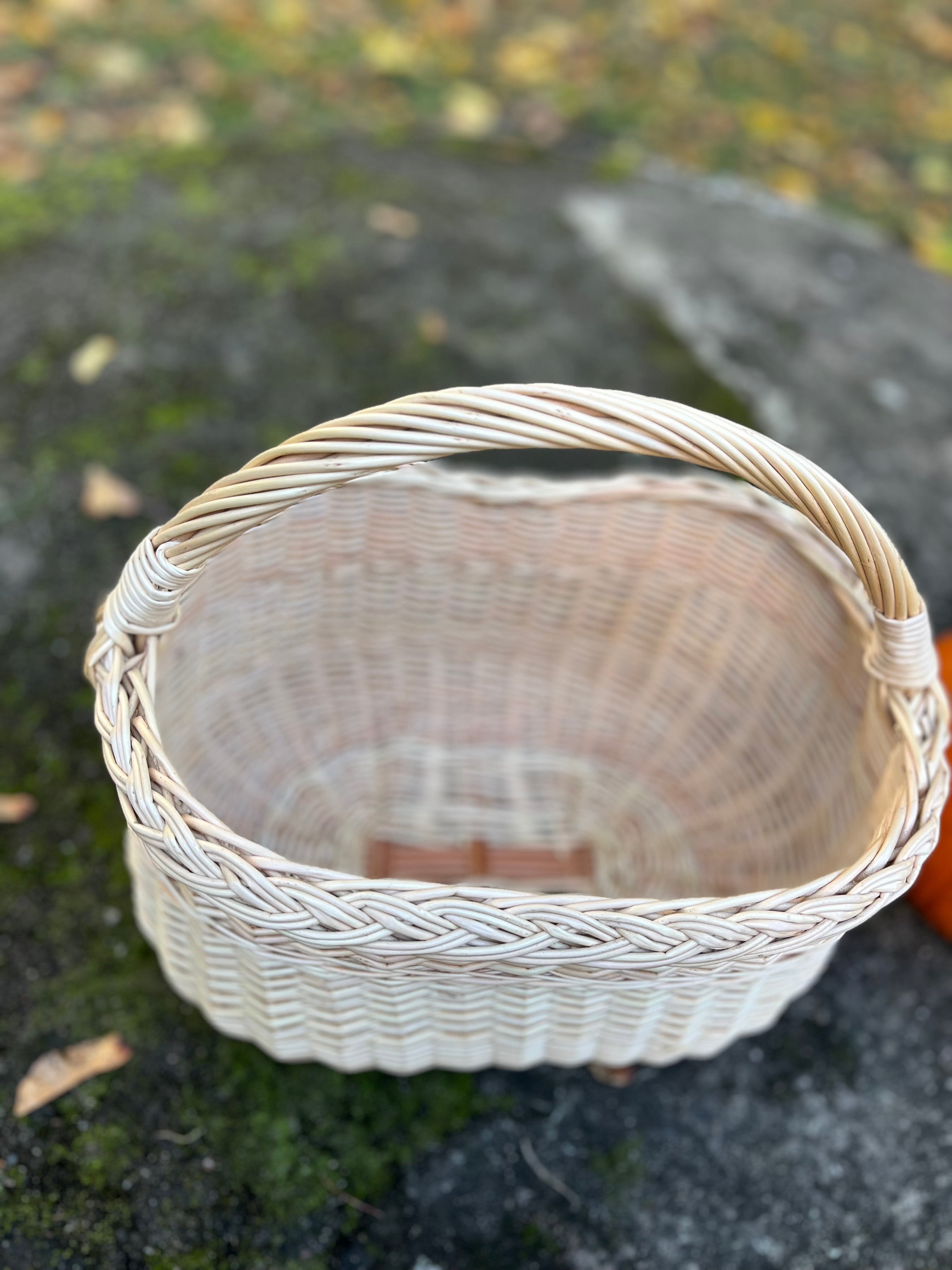 Wicker Oval Basket with Braided Rim