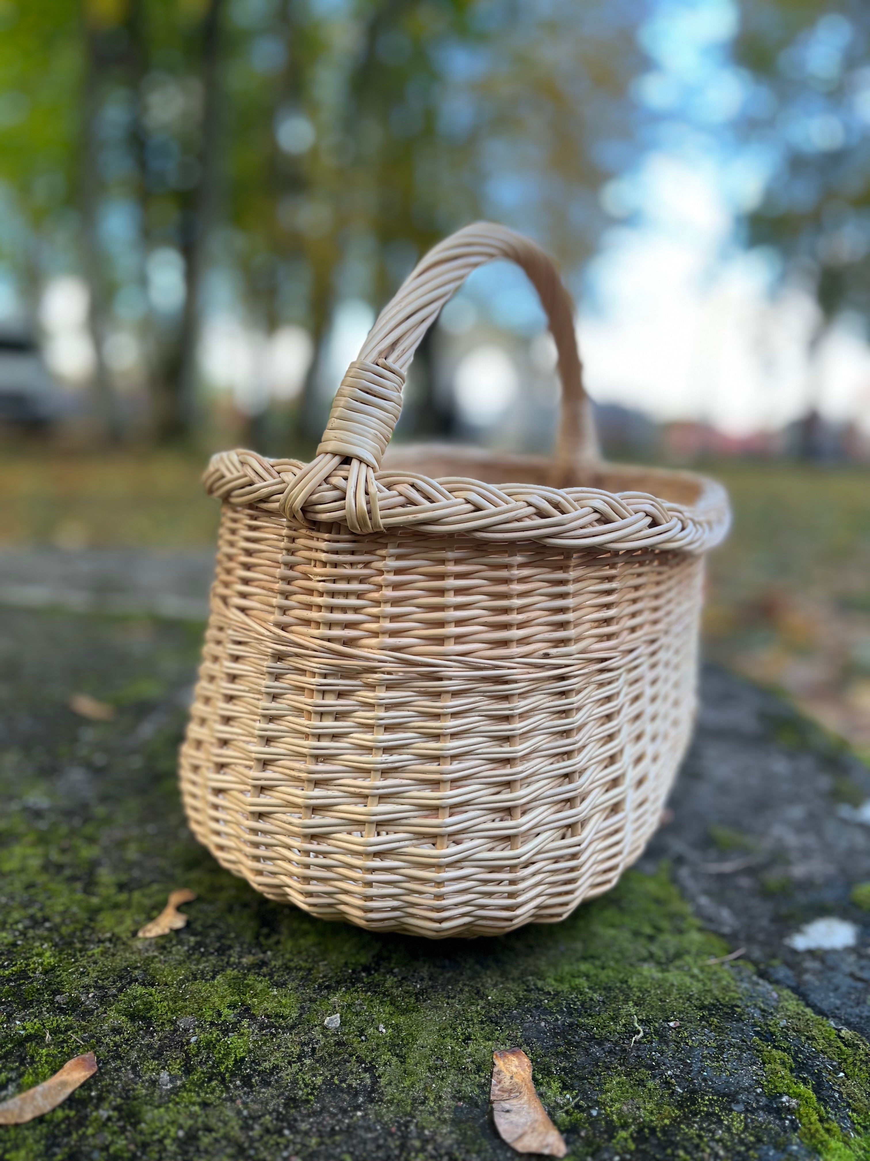 Wicker Oval Basket with Braided Rim