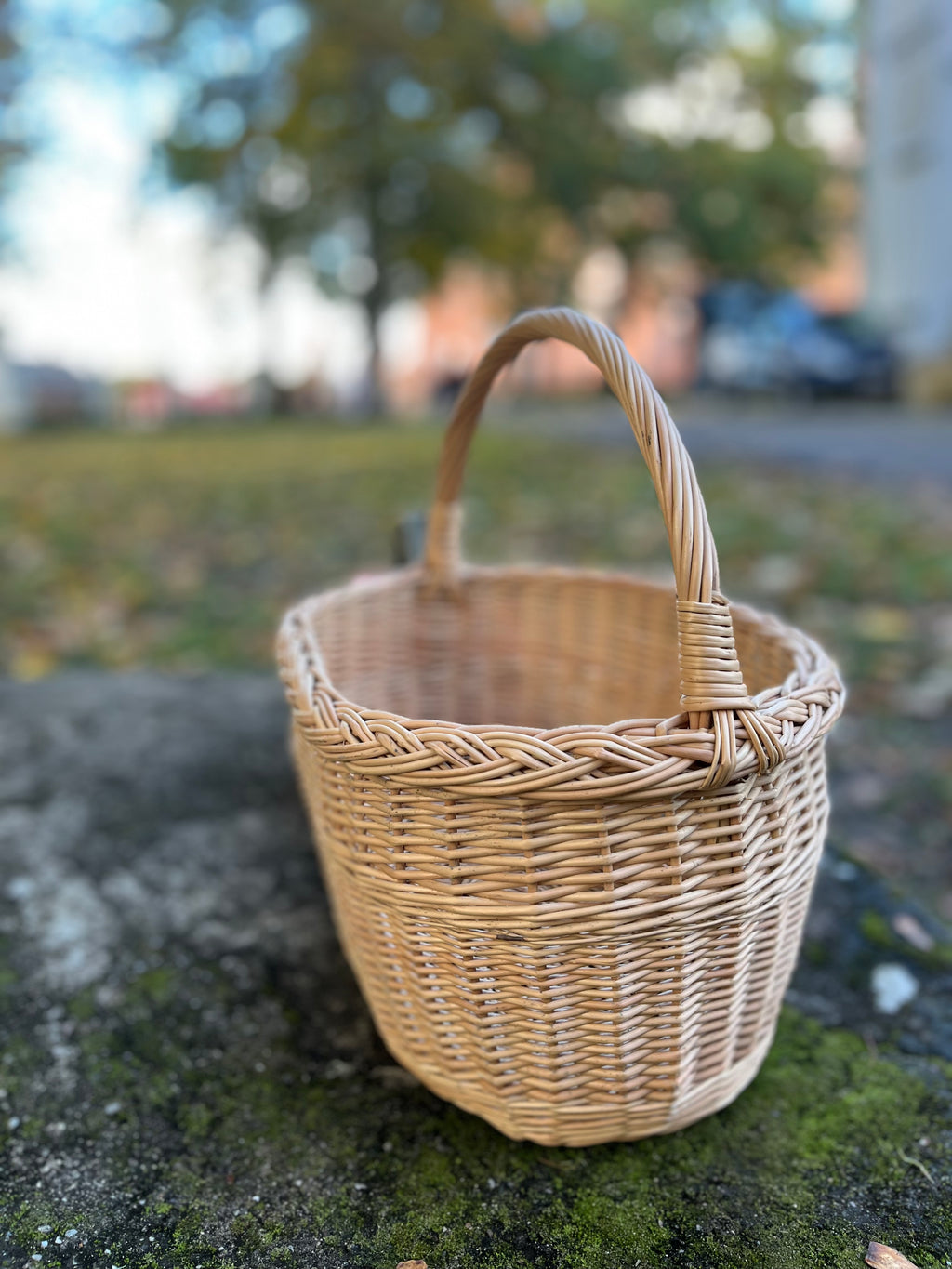 Handmade Rustic Wicker Basket