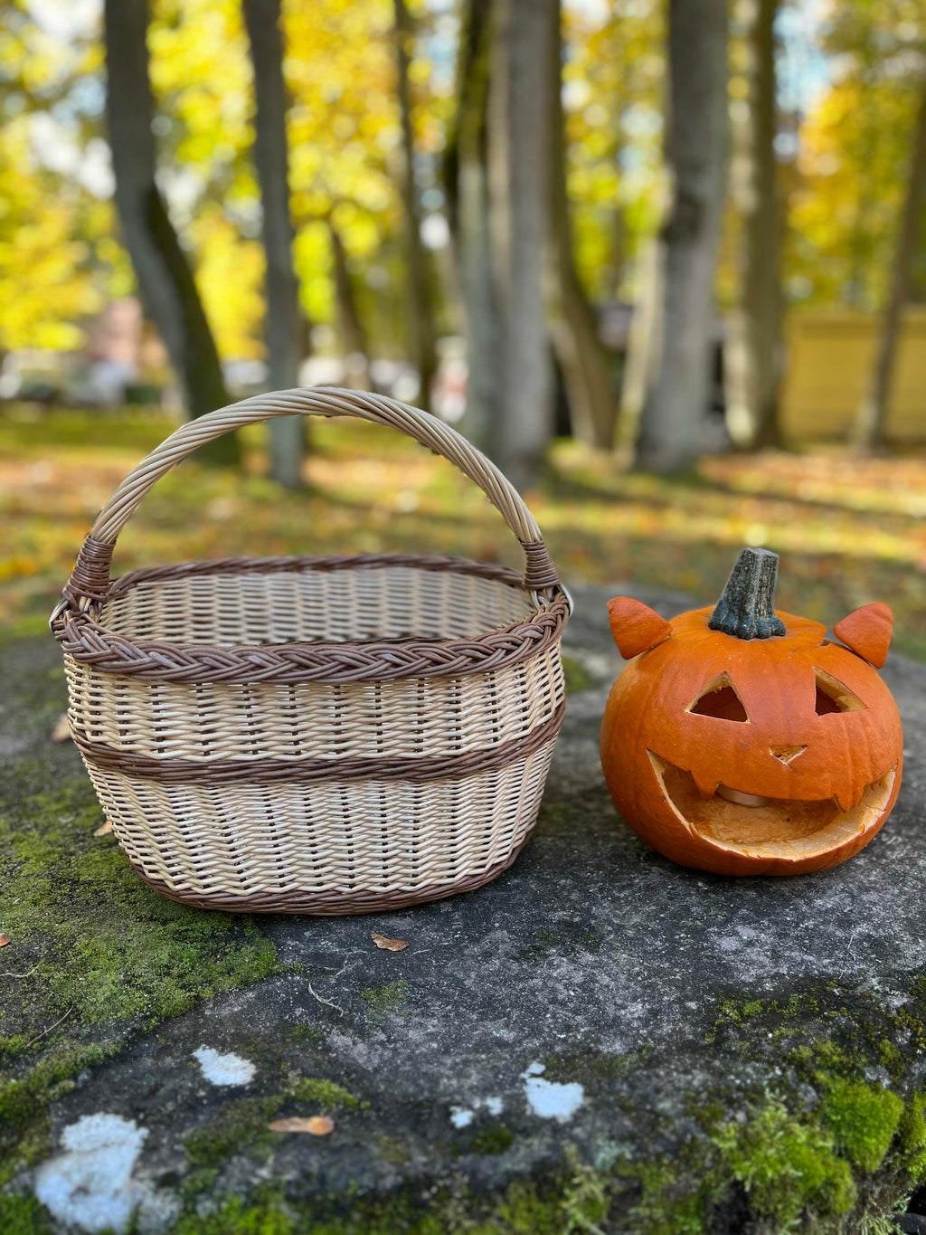Handmade Rustic Wicker Basket