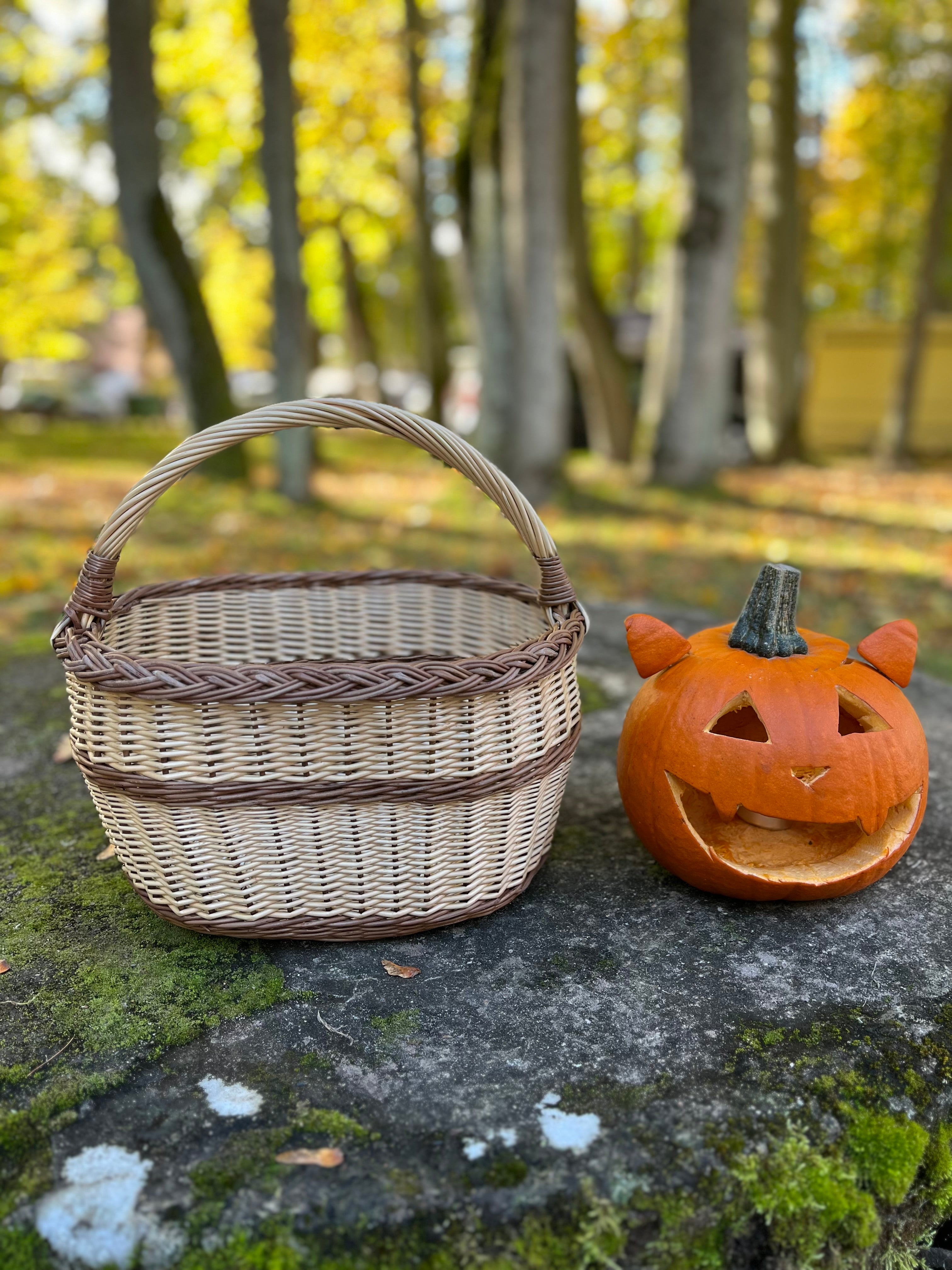 Handmade Rustic Wicker Basket