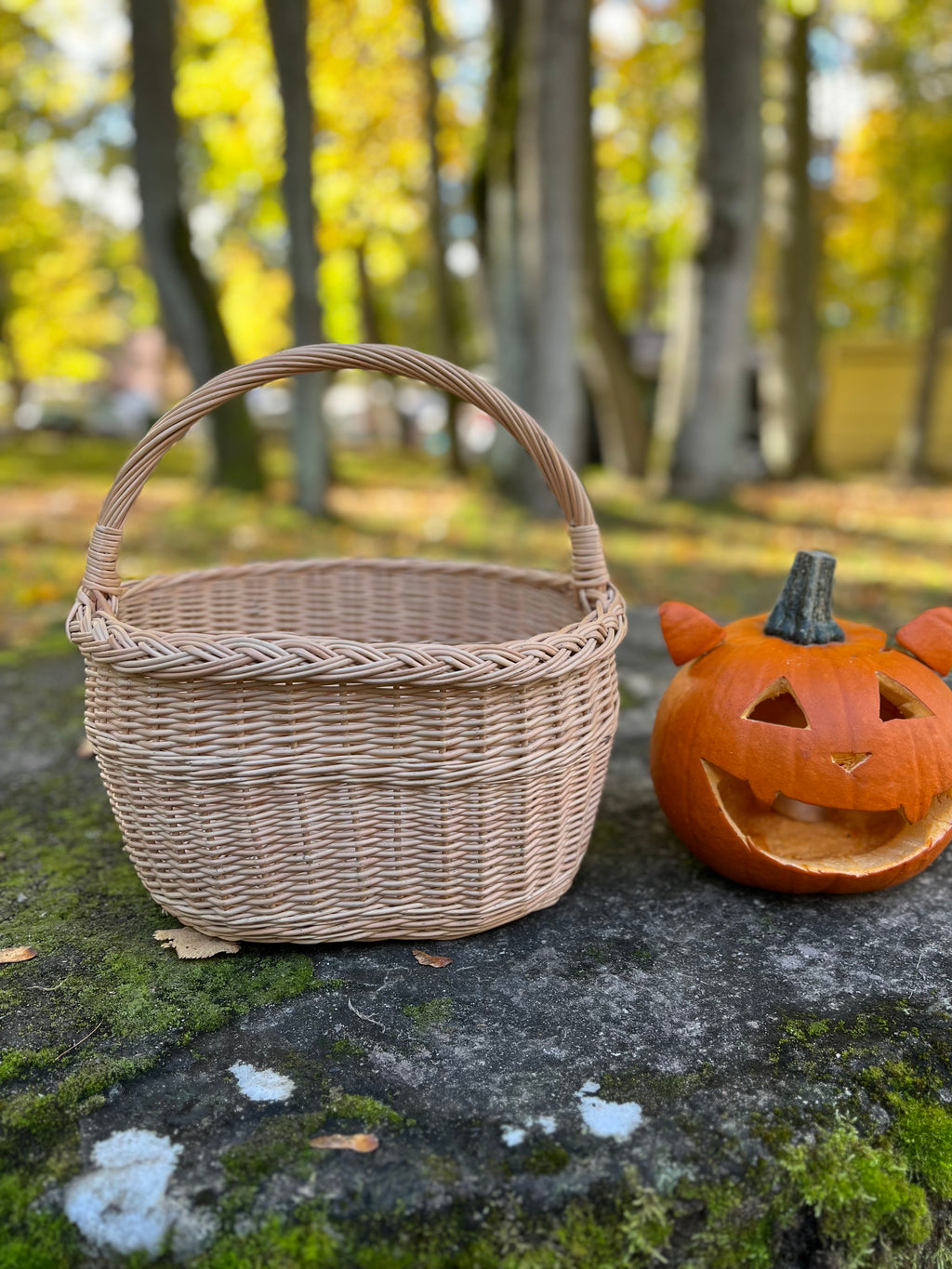 Handmade Rustic Wicker Basket