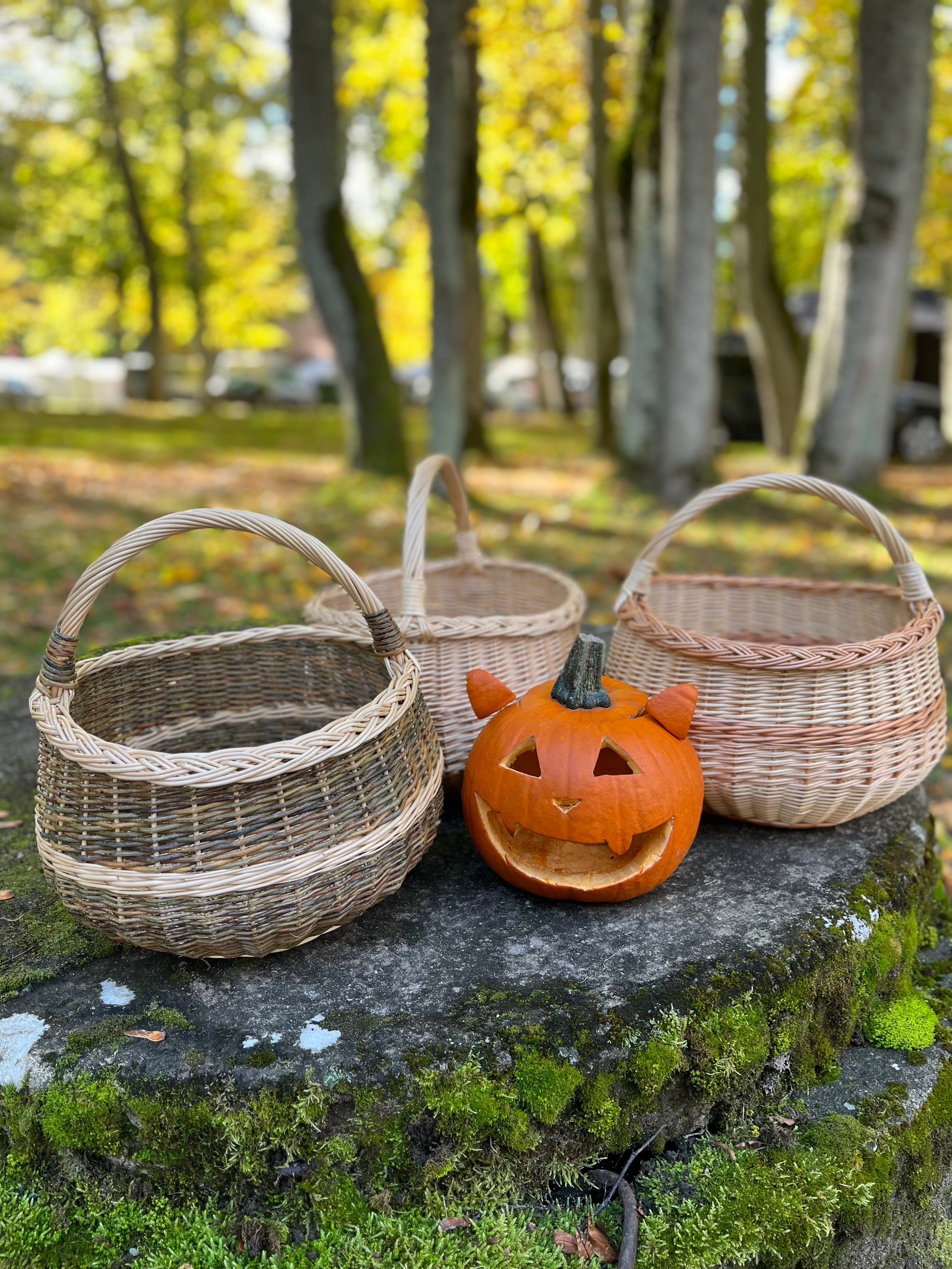 Round Wicker Basket