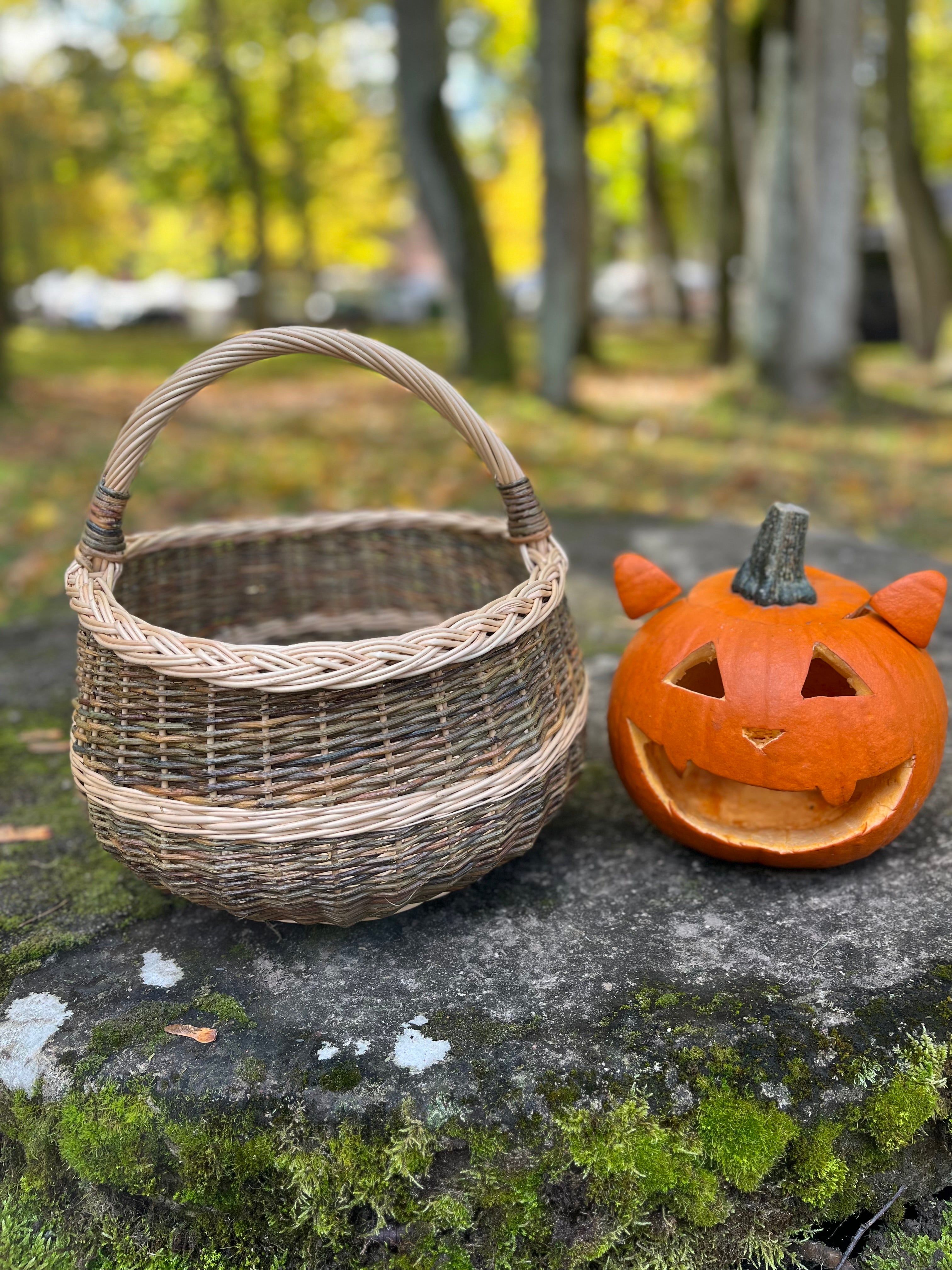 Round Wicker Basket