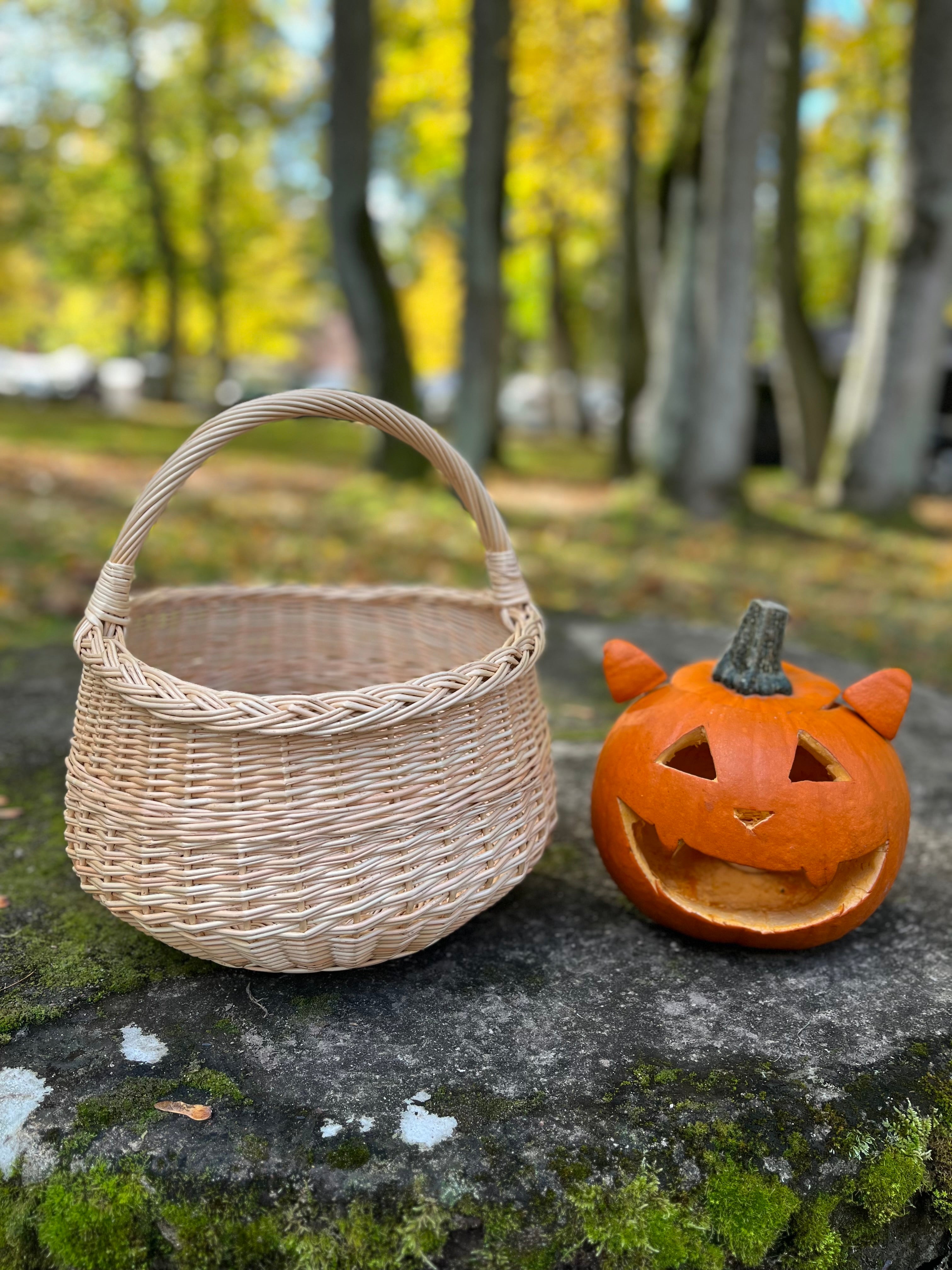 Round Wicker Basket