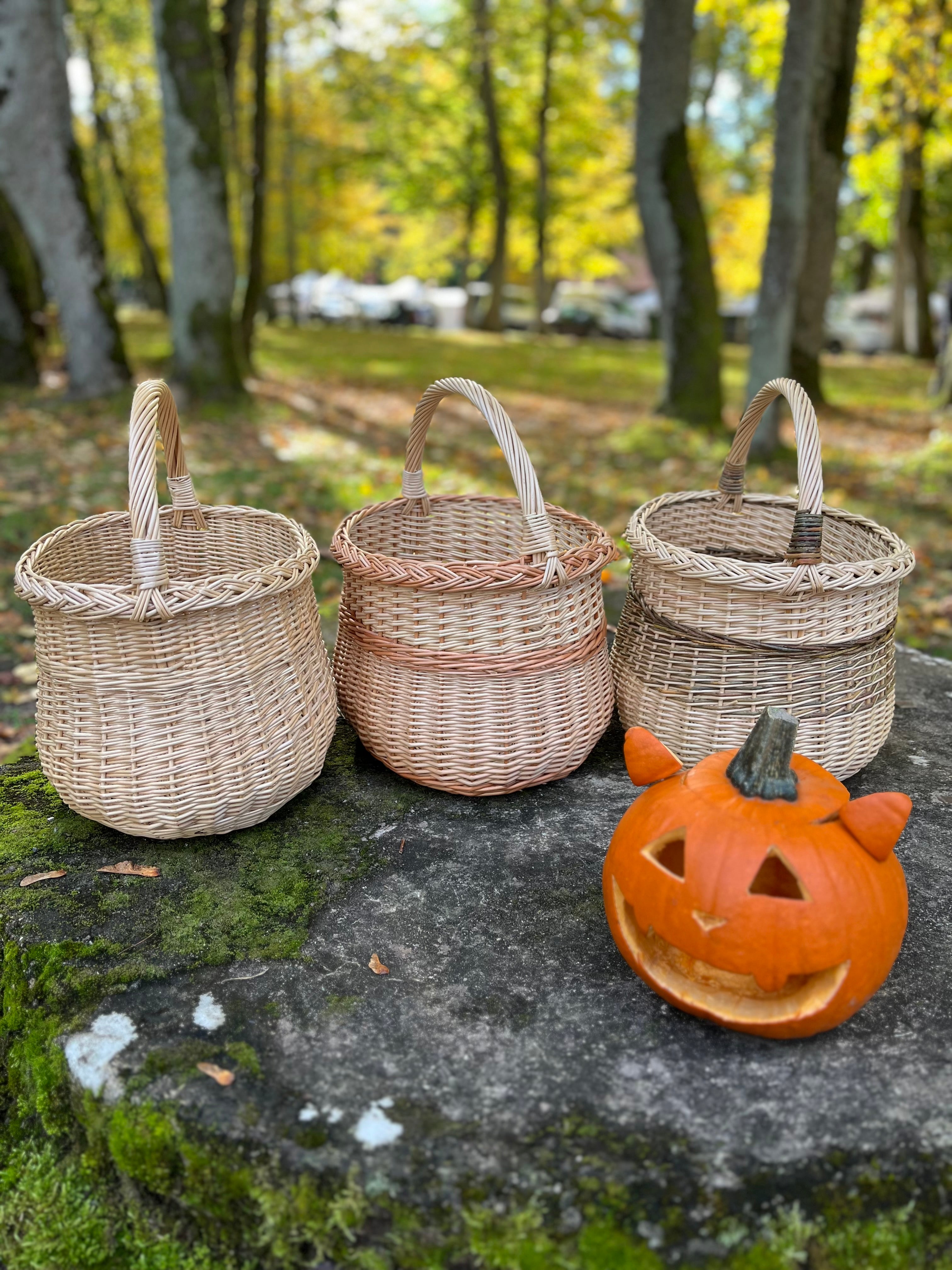 Handwoven Wicker Basket