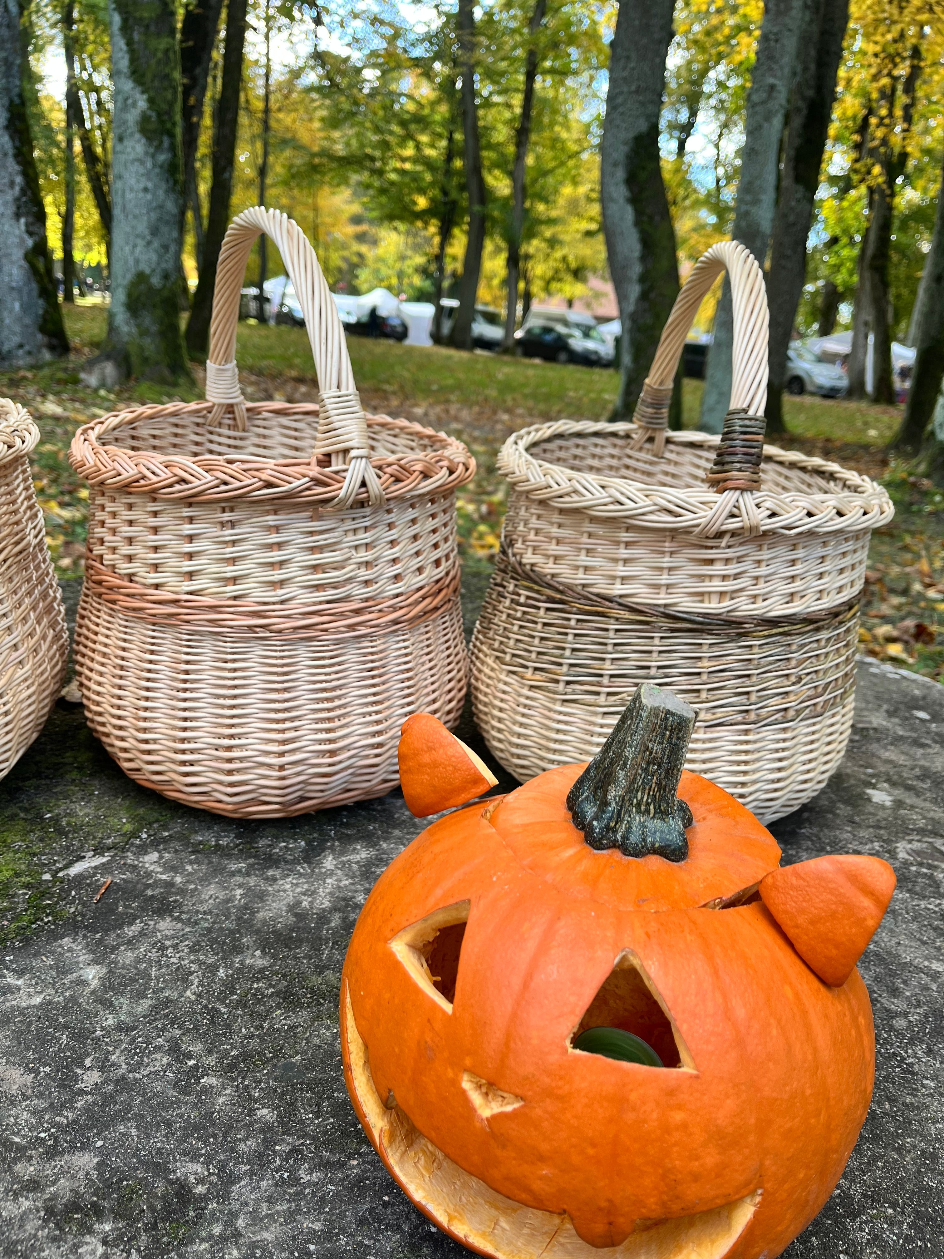 Handwoven Wicker Basket